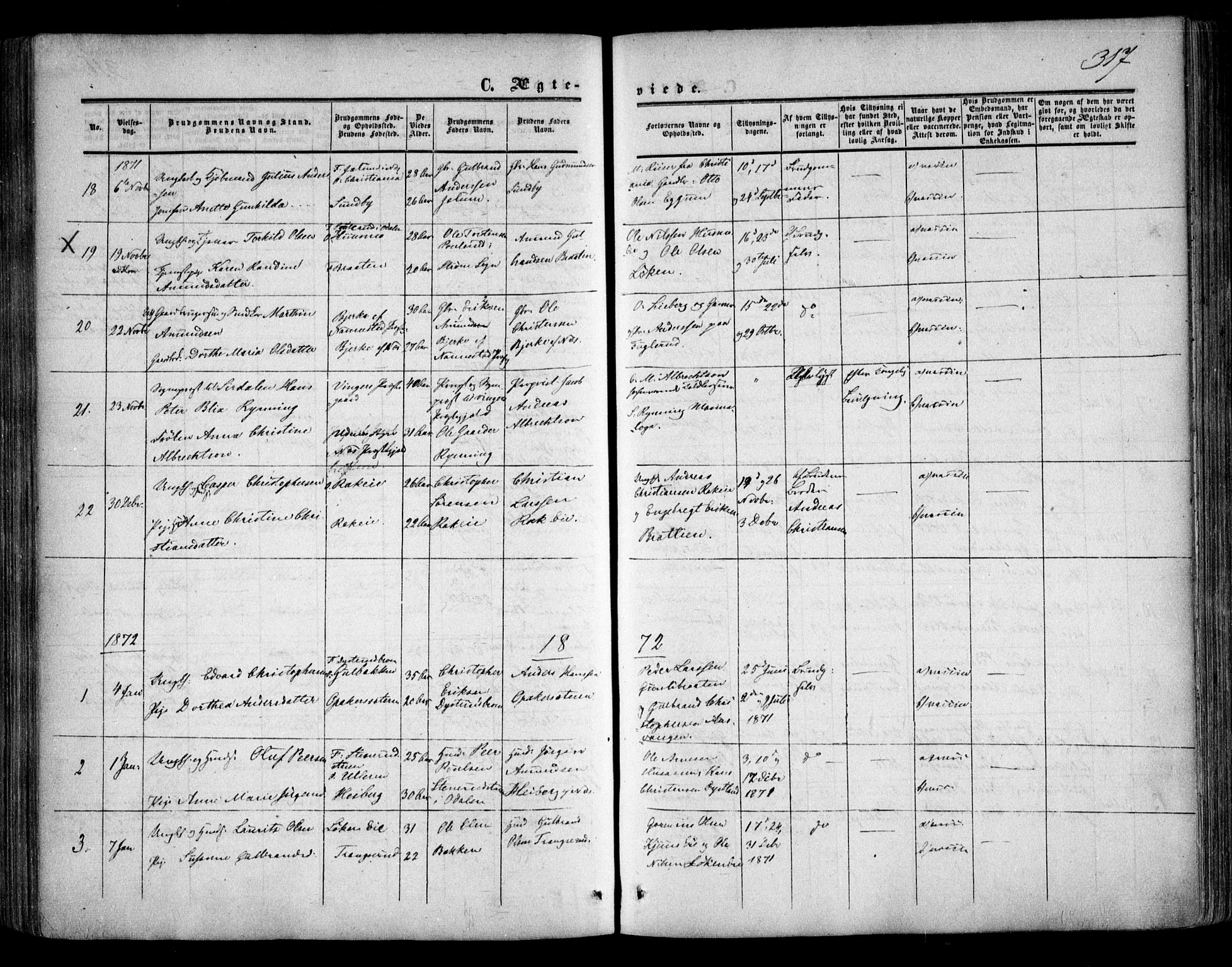 Nes prestekontor Kirkebøker, AV/SAO-A-10410/F/Fa/L0008: Parish register (official) no. I 8, 1859-1874, p. 317