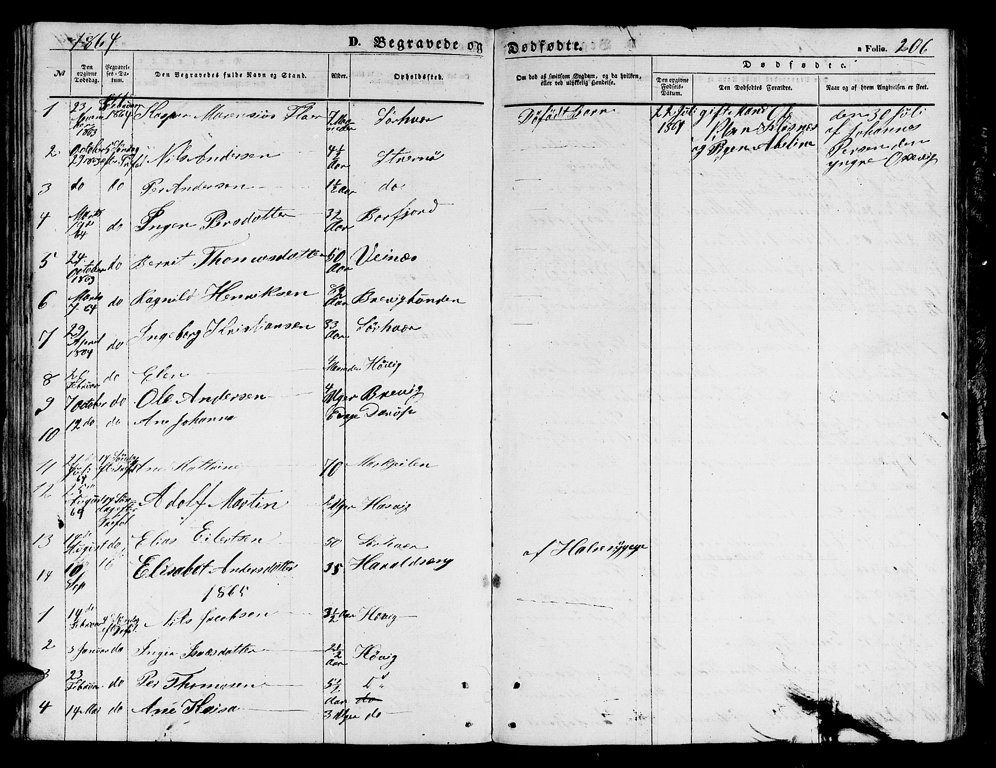 Loppa sokneprestkontor, SATØ/S-1339/H/Hb/L0003klokker: Parish register (copy) no. 3, 1853-1880, p. 206