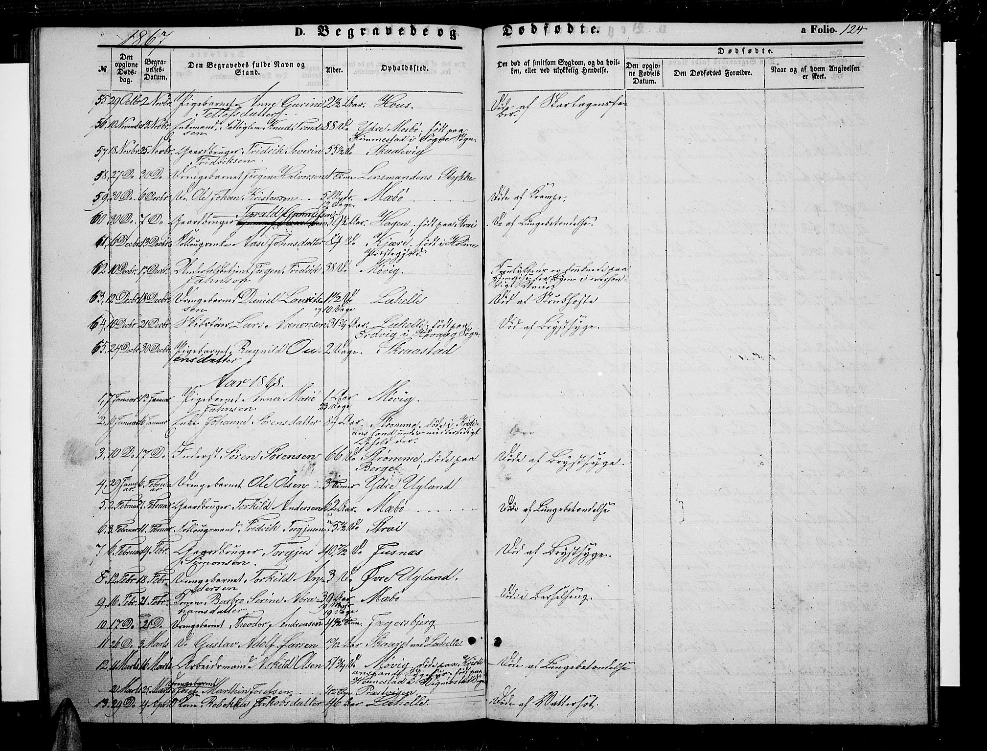 Oddernes sokneprestkontor, AV/SAK-1111-0033/F/Fb/Fba/L0006: Parish register (copy) no. B 6 /1, 1860-1869, p. 124