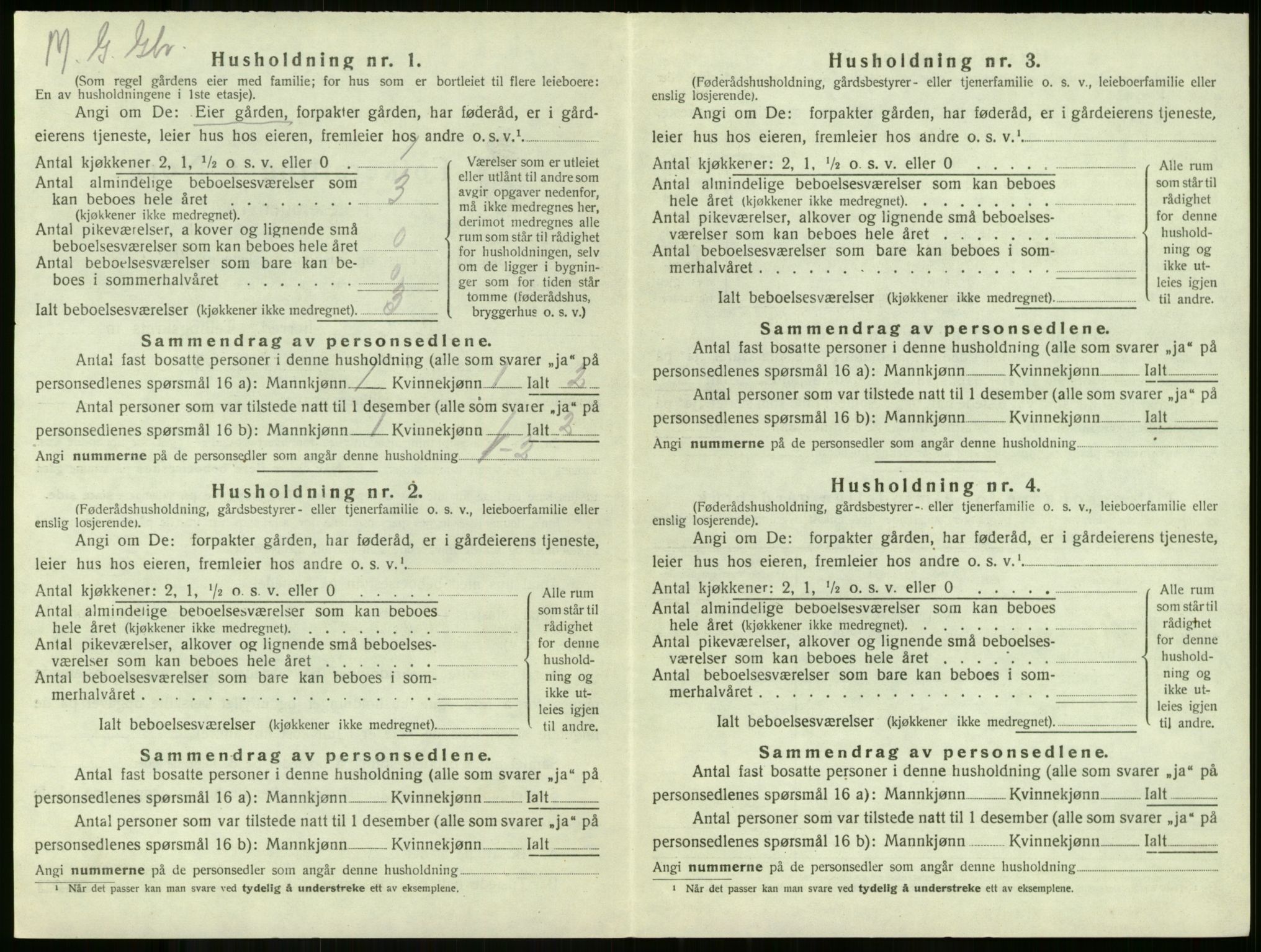 SAKO, 1920 census for Borre, 1920, p. 972