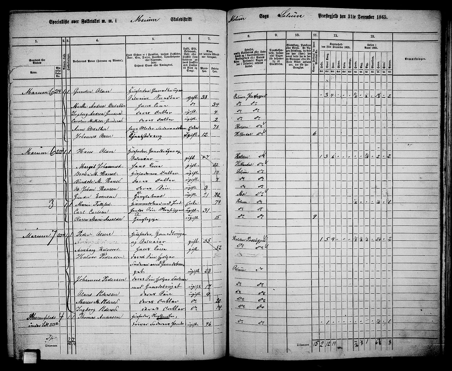 RA, 1865 census for Solum, 1865, p. 174