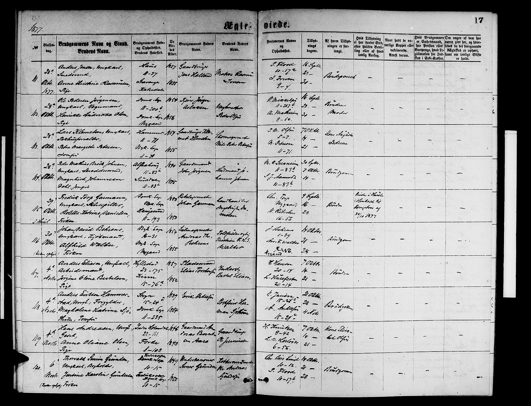 Domkirken sokneprestembete, AV/SAB-A-74801/H/Hab/L0031: Parish register (copy) no. D 3, 1877-1880, p. 17