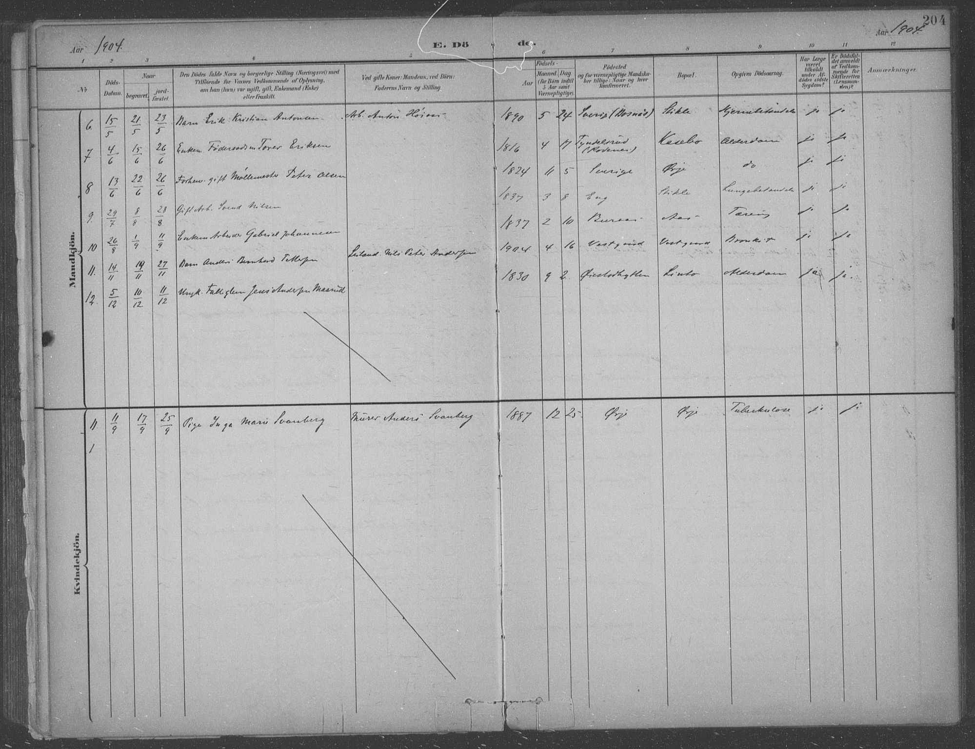 Aremark prestekontor Kirkebøker, SAO/A-10899/F/Fb/L0005: Parish register (official) no. II 5, 1895-1919, p. 204