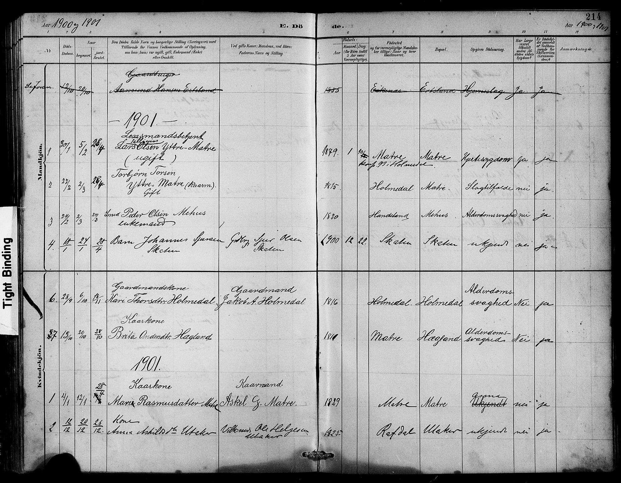 Husnes Sokneprestembete, AV/SAB-A-75901/H/Hab: Parish register (copy) no. B 2, 1884-1914, p. 214
