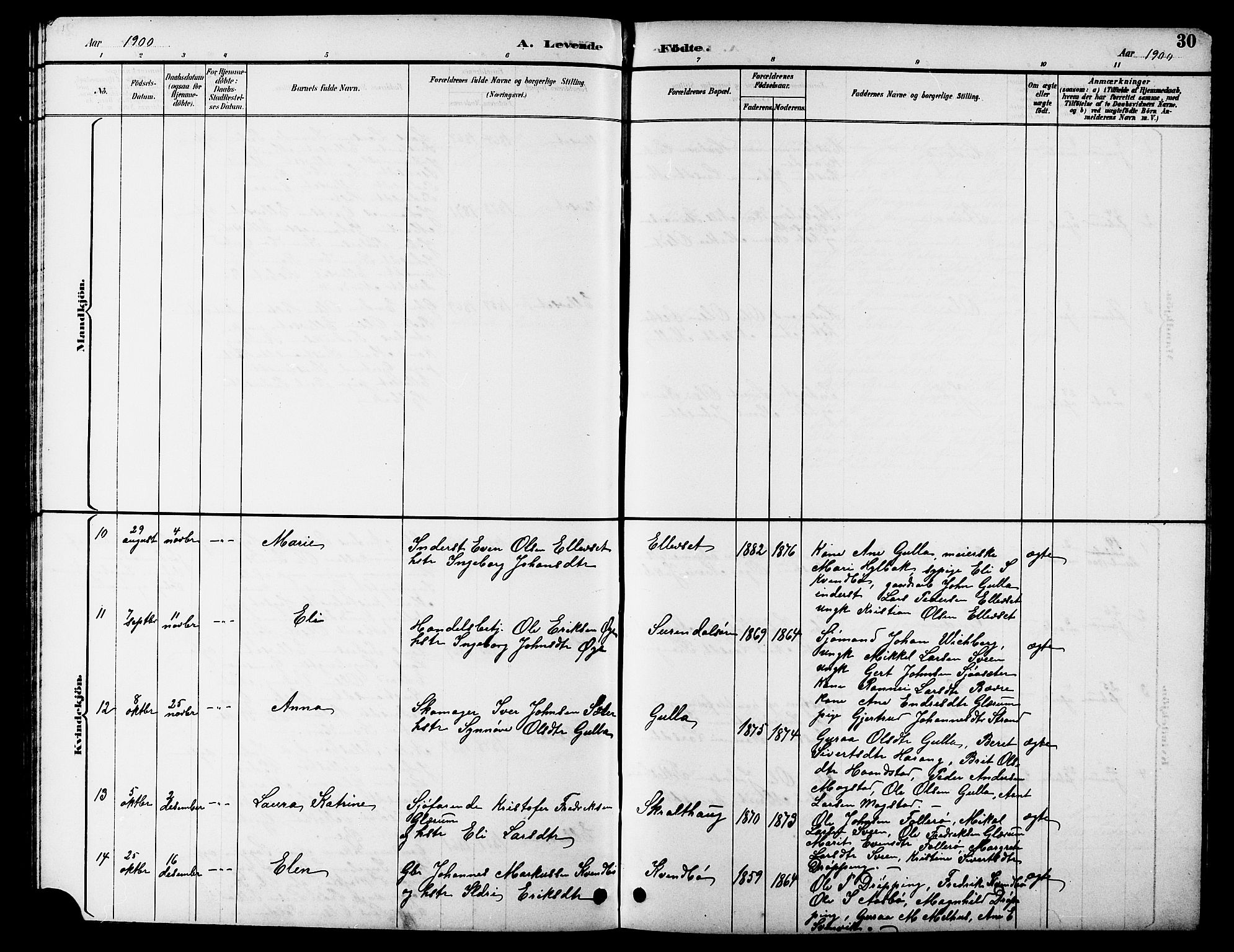 Ministerialprotokoller, klokkerbøker og fødselsregistre - Møre og Romsdal, AV/SAT-A-1454/596/L1058: Parish register (copy) no. 596C01, 1891-1907, p. 30