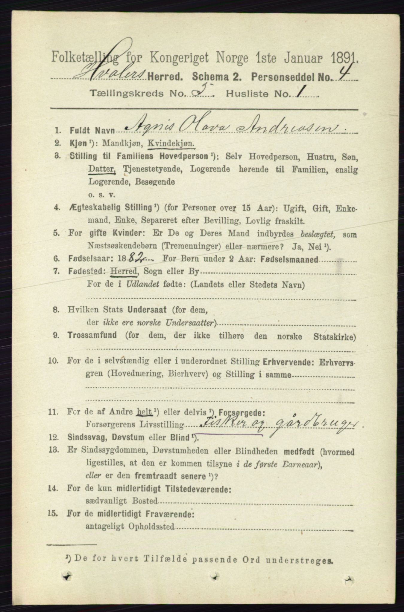 RA, 1891 census for 0111 Hvaler, 1891, p. 3188