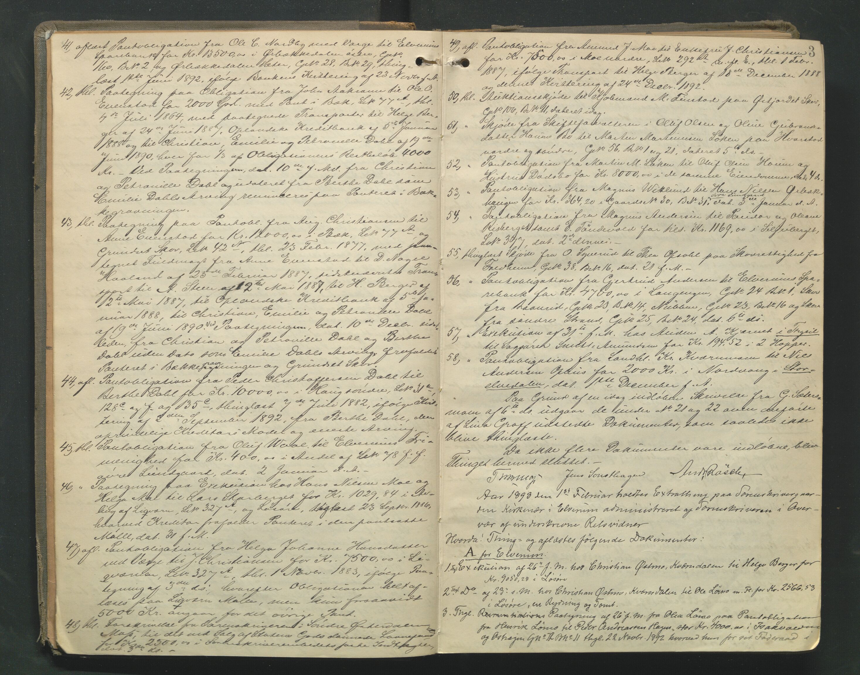 Sør-Østerdal sorenskriveri, AV/SAH-TING-018/G/Gb/L0013: Tingbok, 1893-1897, p. 2b-3a