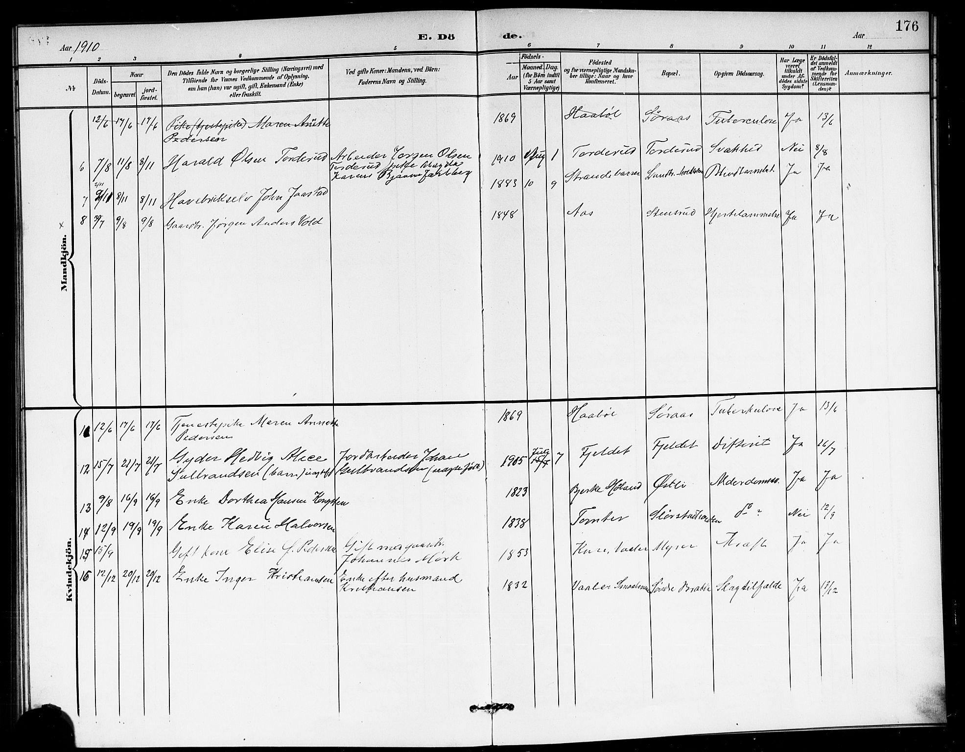 Ås prestekontor Kirkebøker, AV/SAO-A-10894/G/Ga/L0004: Parish register (copy) no. I 4, 1901-1915, p. 176