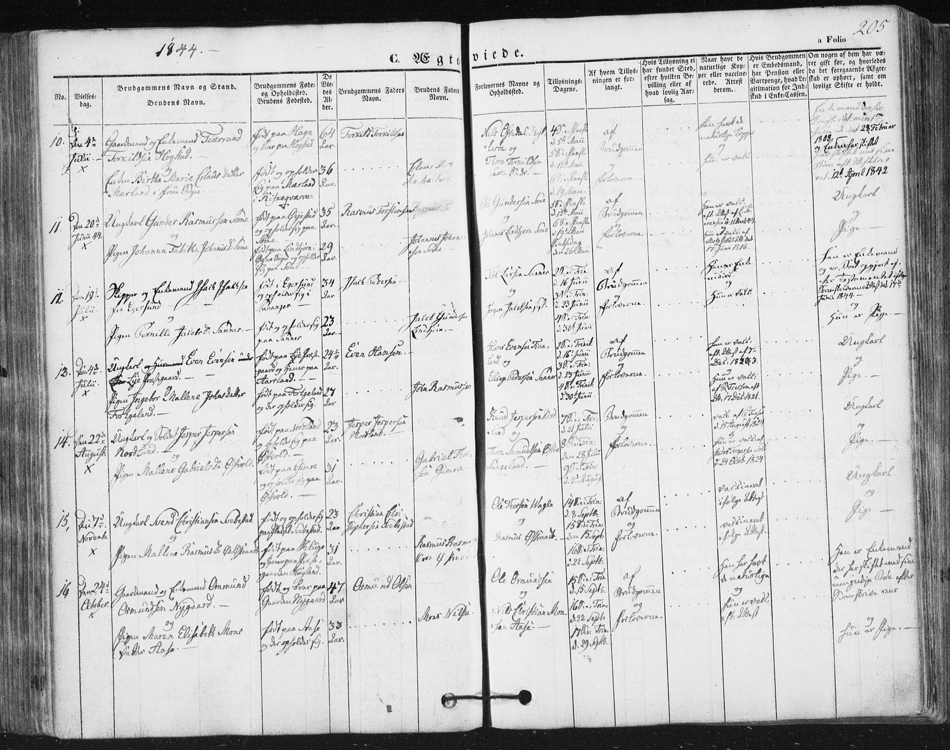 Høyland sokneprestkontor, AV/SAST-A-101799/001/30BA/L0008: Parish register (official) no. A 8, 1841-1856, p. 205