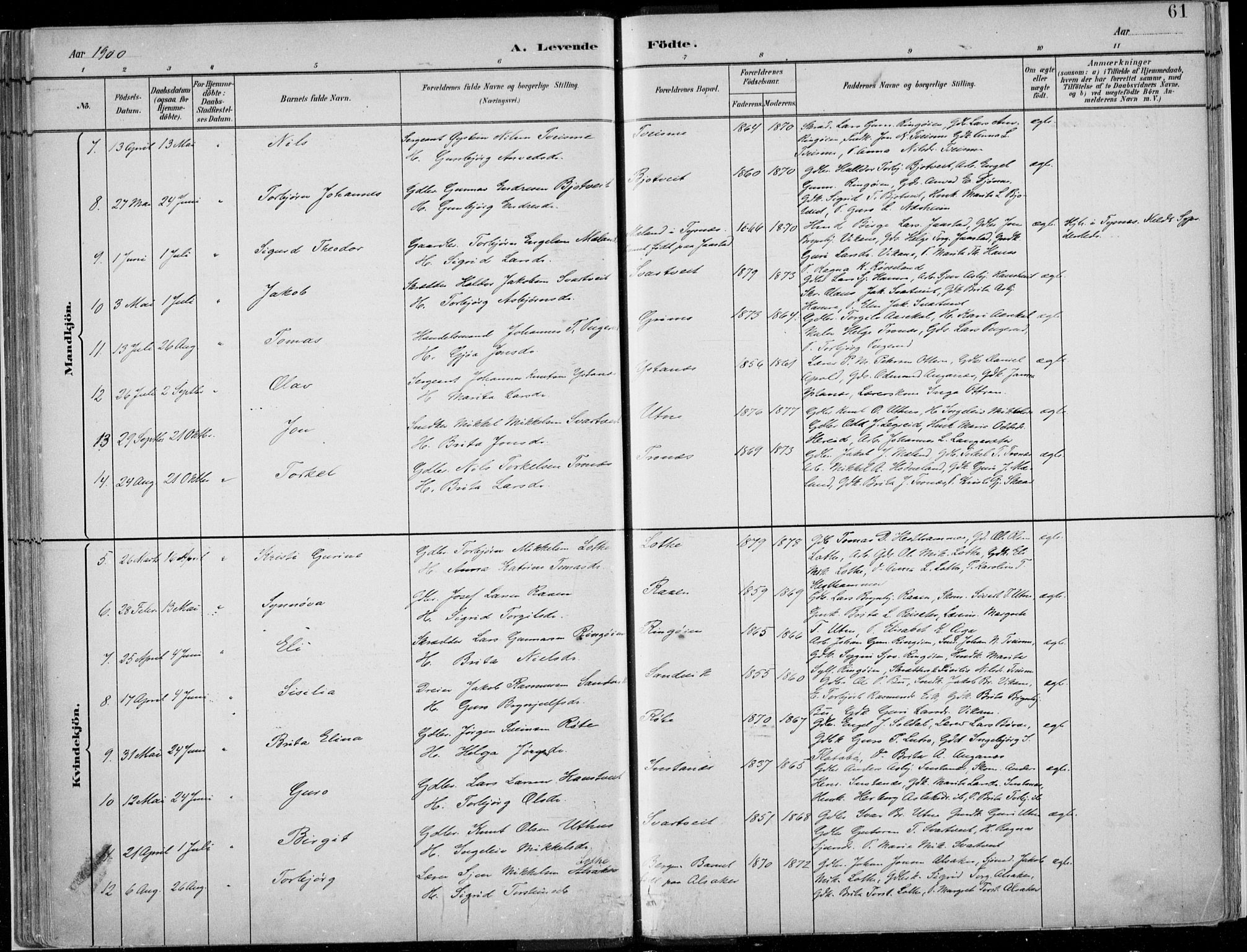 Ullensvang sokneprestembete, SAB/A-78701/H/Haa: Parish register (official) no. E  1, 1882-1921, p. 61