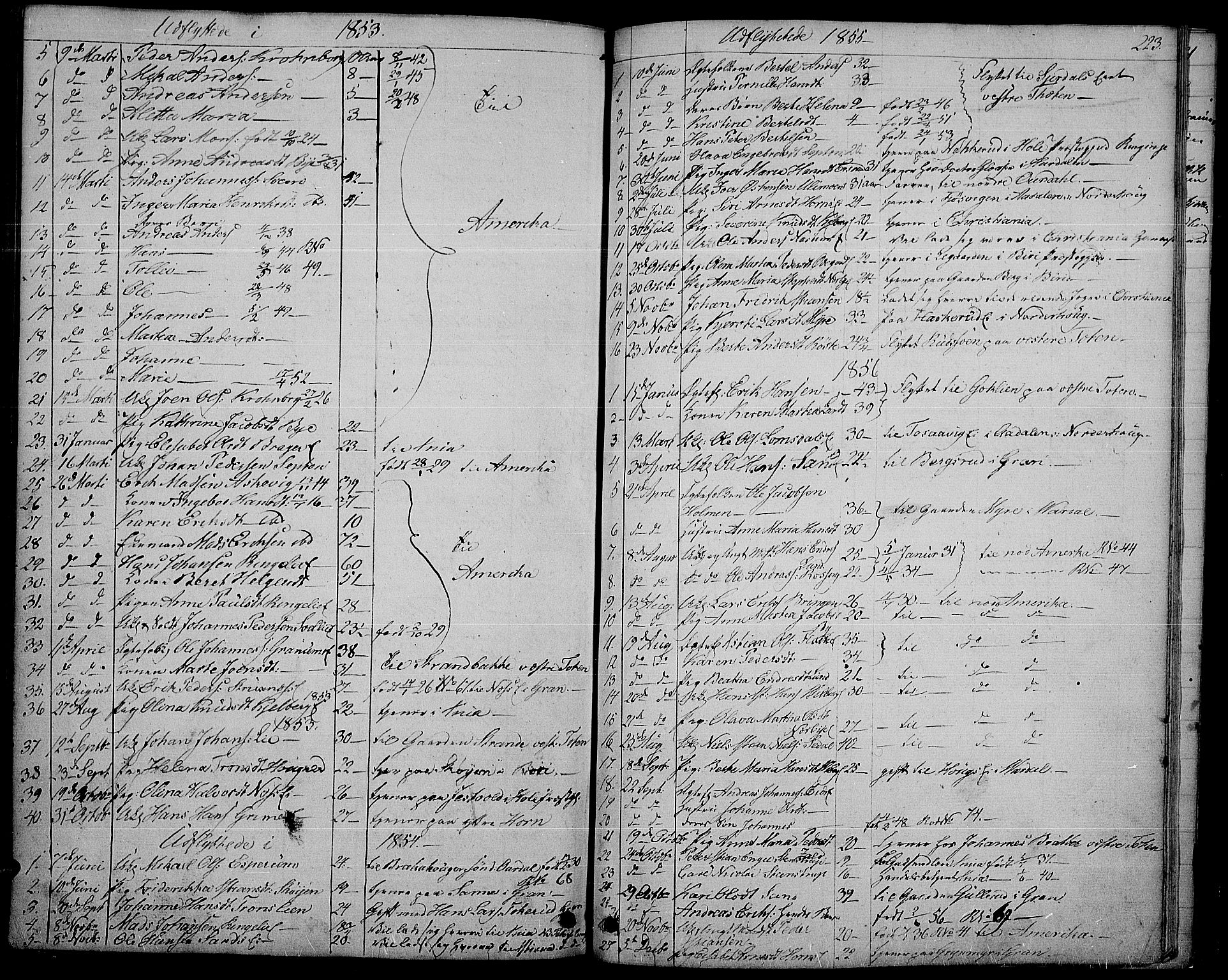 Søndre Land prestekontor, AV/SAH-PREST-122/L/L0001: Parish register (copy) no. 1, 1849-1883, p. 223