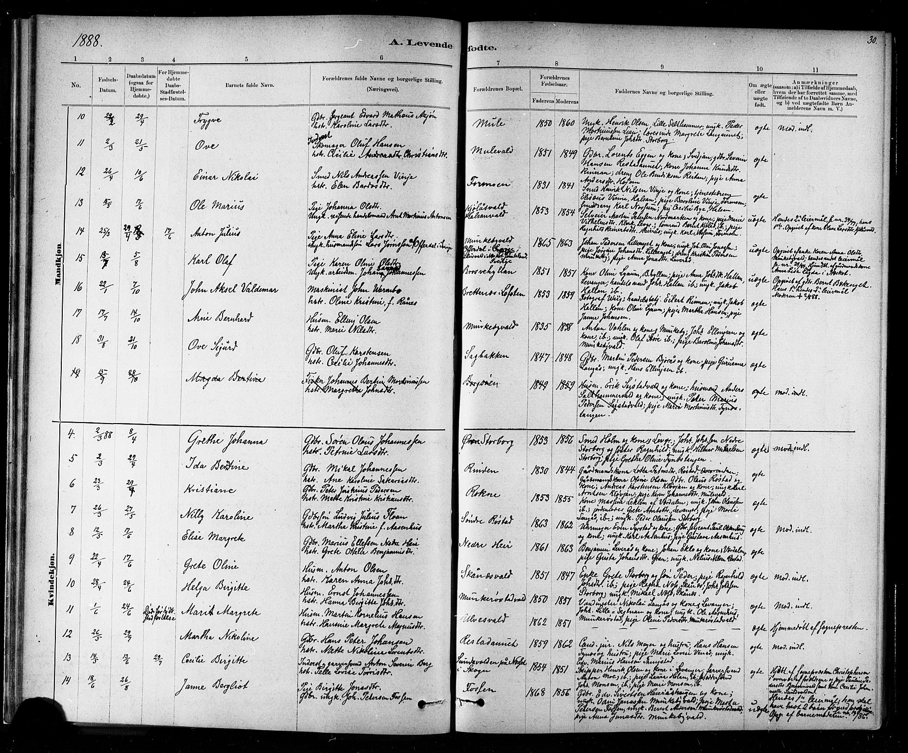 Ministerialprotokoller, klokkerbøker og fødselsregistre - Nord-Trøndelag, AV/SAT-A-1458/721/L0208: Parish register (copy) no. 721C01, 1880-1917, p. 30