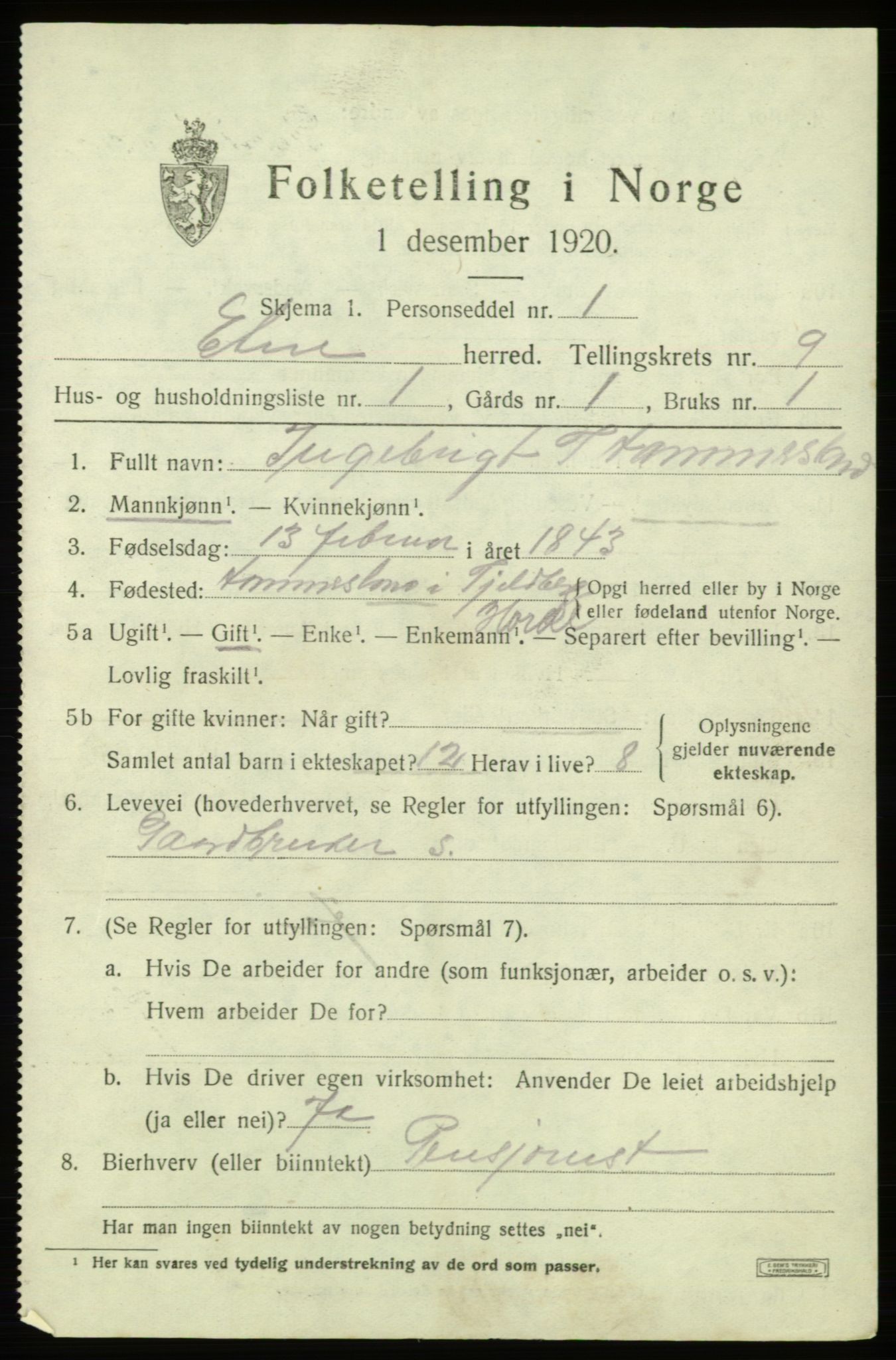 SAB, 1920 census for Etne, 1920, p. 3921