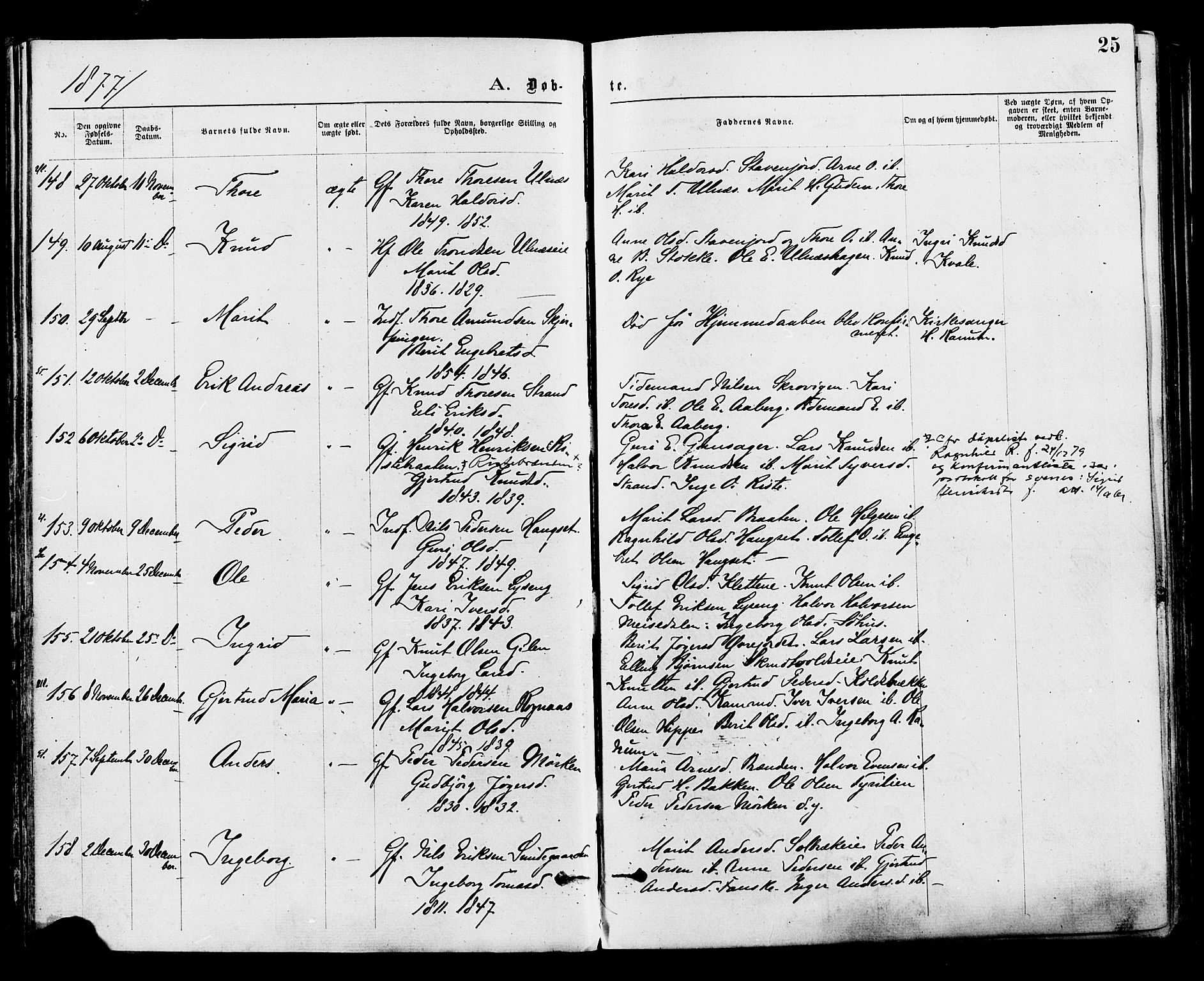Nord-Aurdal prestekontor, SAH/PREST-132/H/Ha/Haa/L0009: Parish register (official) no. 9, 1876-1882, p. 25