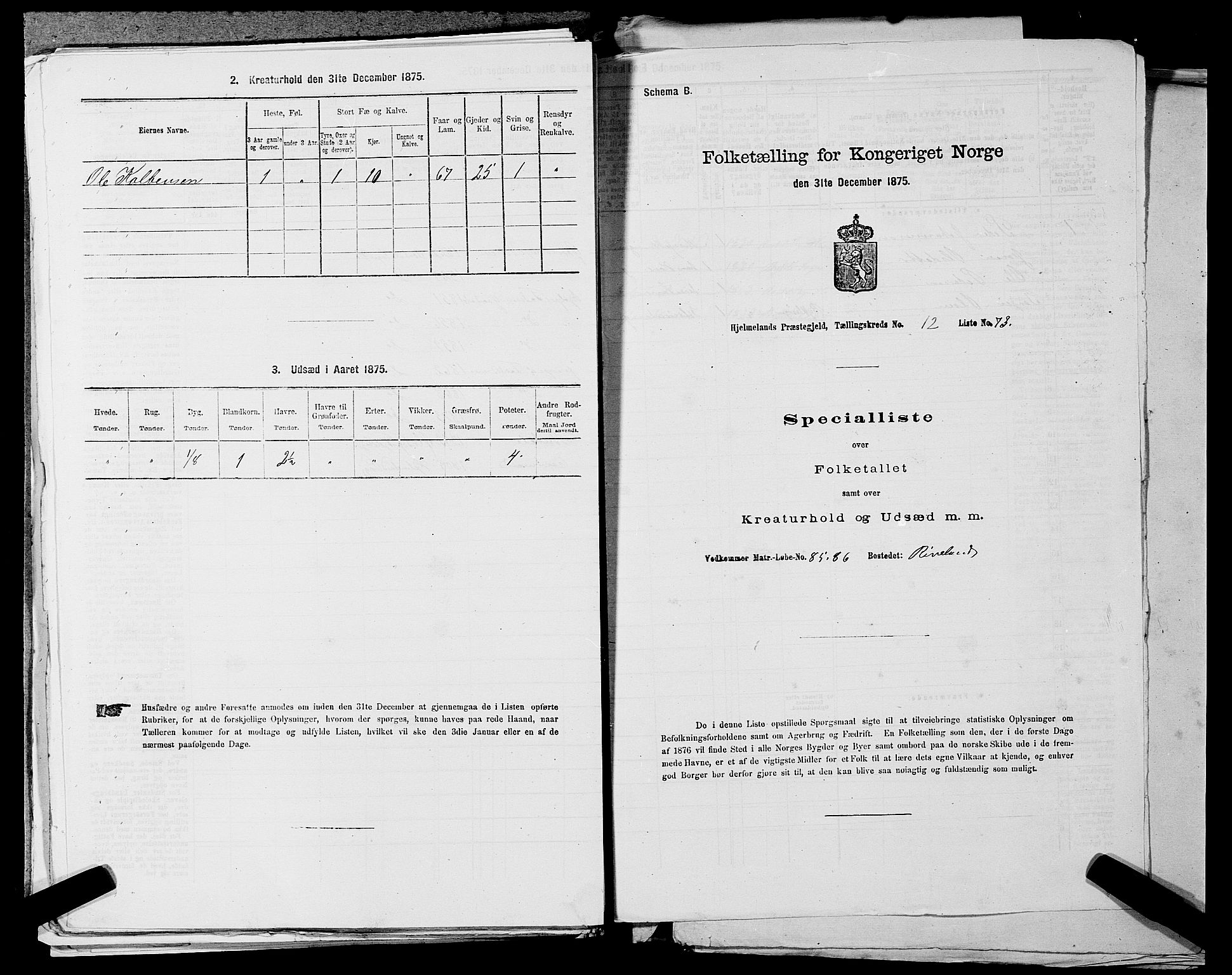 SAST, 1875 census for 1133P Hjelmeland, 1875, p. 1527