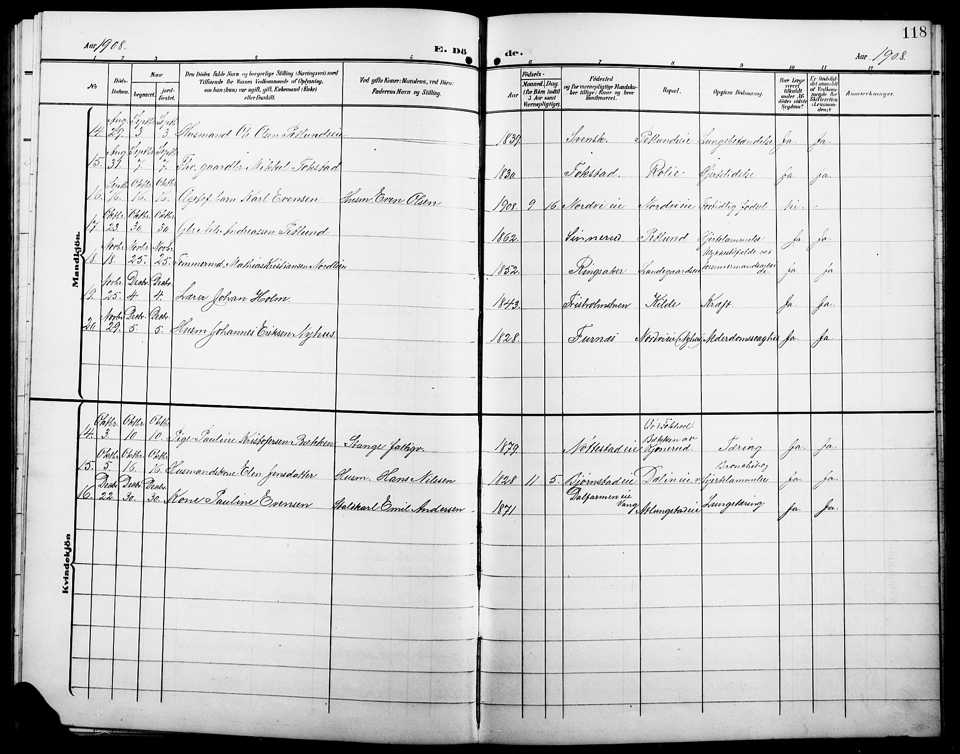 Stange prestekontor, AV/SAH-PREST-002/L/L0013: Parish register (copy) no. 13, 1906-1915, p. 118