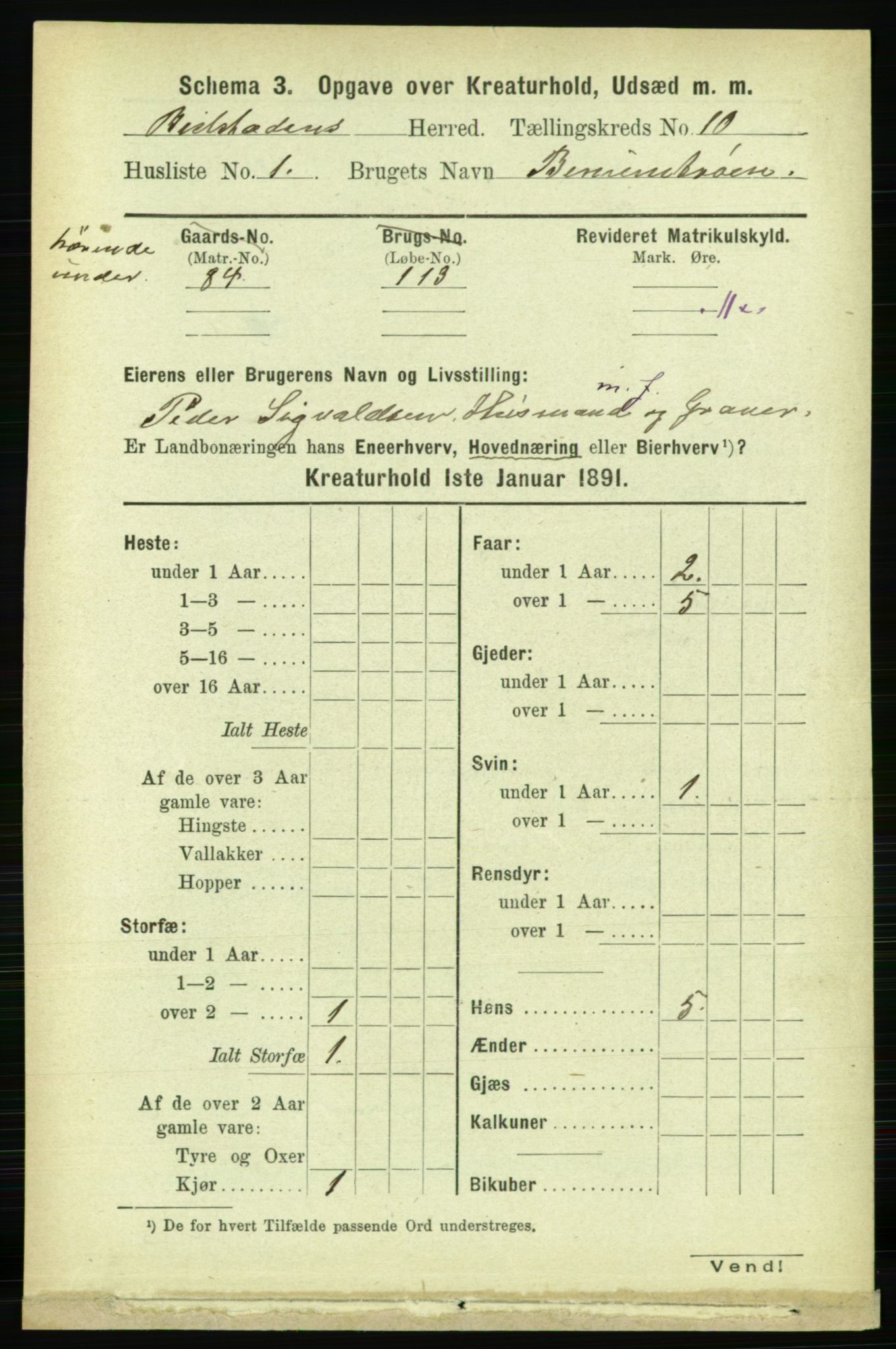 RA, 1891 census for 1727 Beitstad, 1891, p. 6185