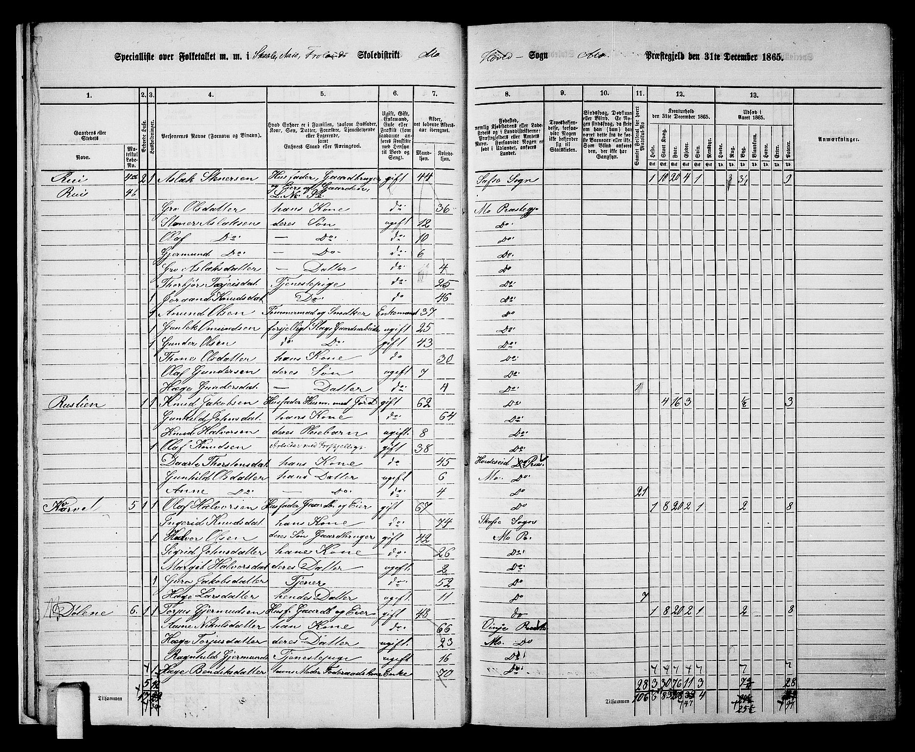 RA, 1865 census for Mo, 1865, p. 14