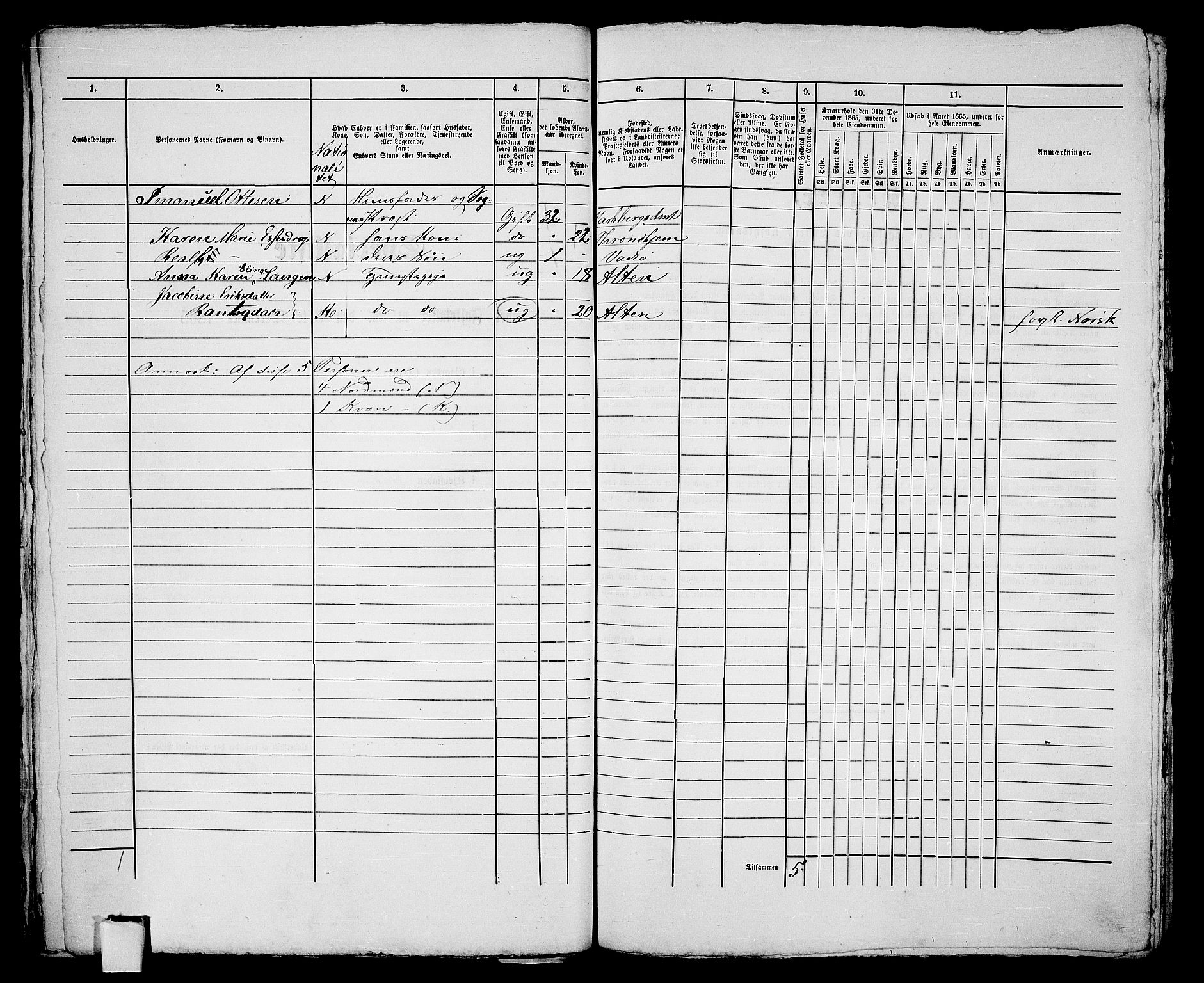 RA, 1865 census for Vadsø/Vadsø, 1865, p. 164