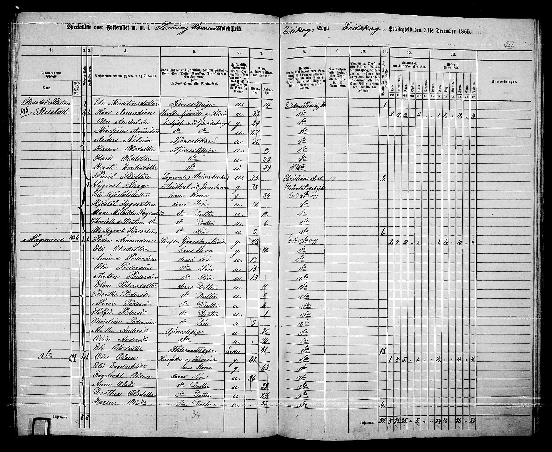 RA, 1865 census for Eidskog, 1865, p. 227