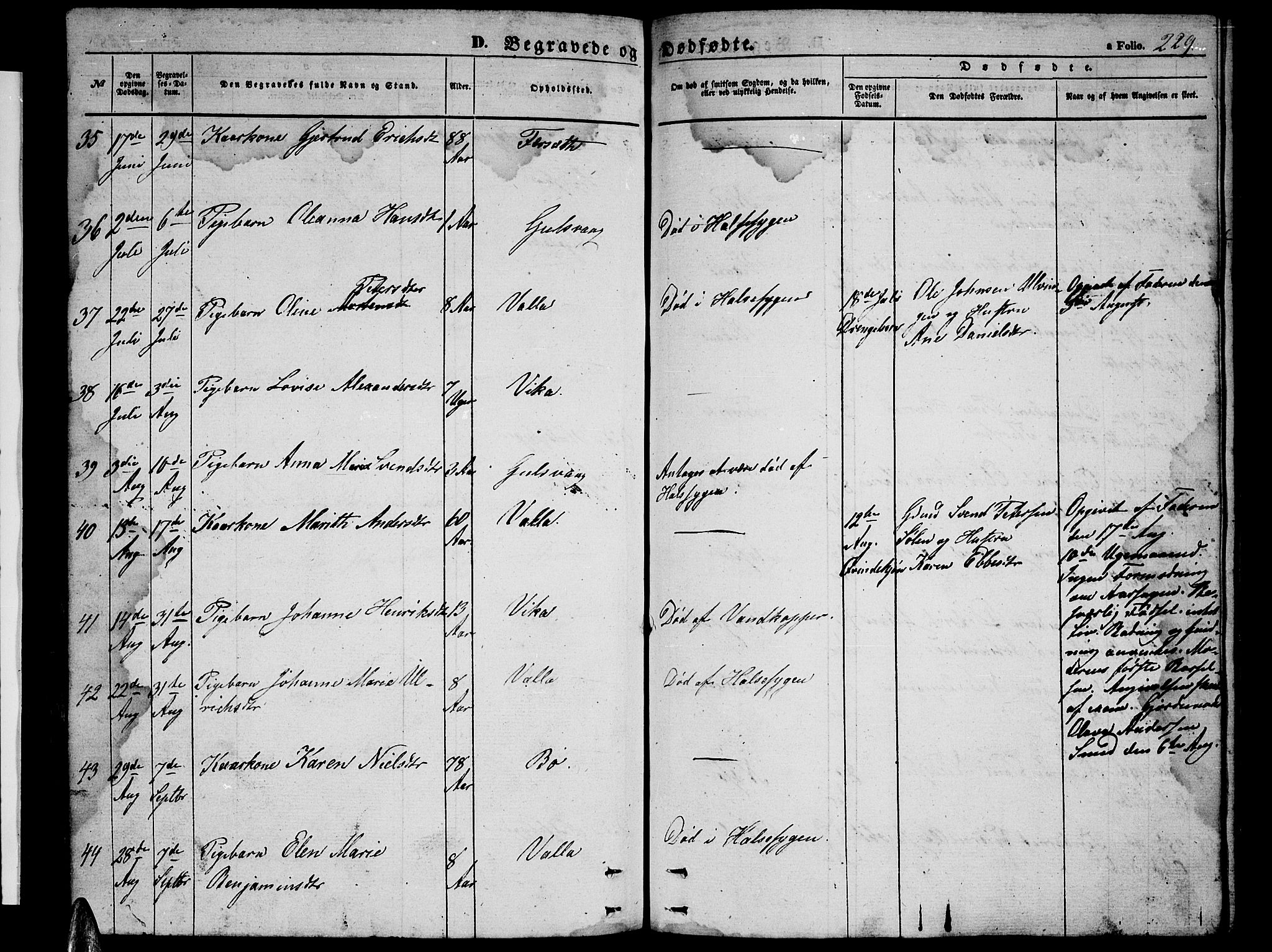 Ministerialprotokoller, klokkerbøker og fødselsregistre - Nordland, AV/SAT-A-1459/816/L0251: Parish register (copy) no. 816C01, 1852-1870, p. 229