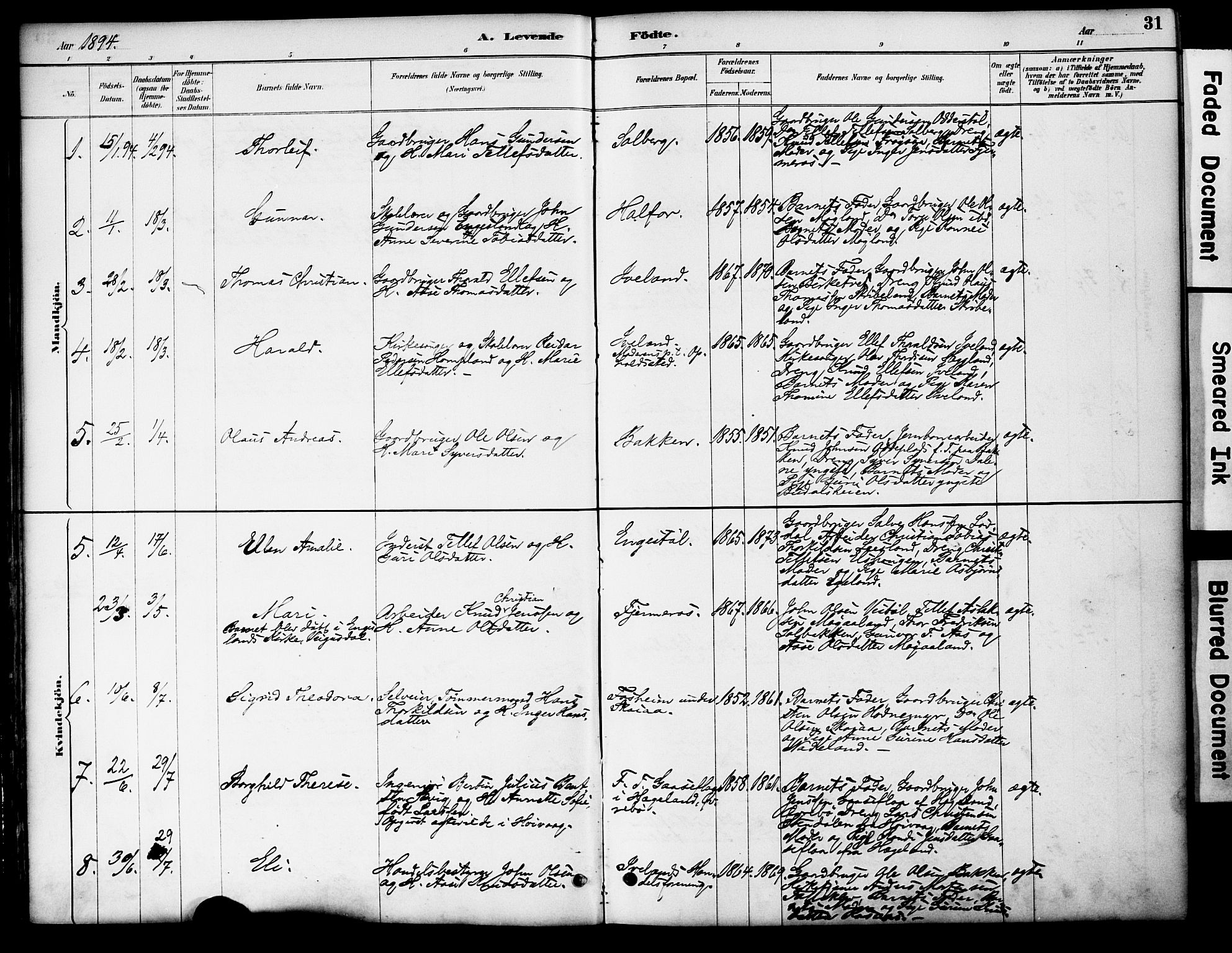 Evje sokneprestkontor, AV/SAK-1111-0008/F/Fa/Fac/L0003: Parish register (official) no. A 3, 1884-1909, p. 31