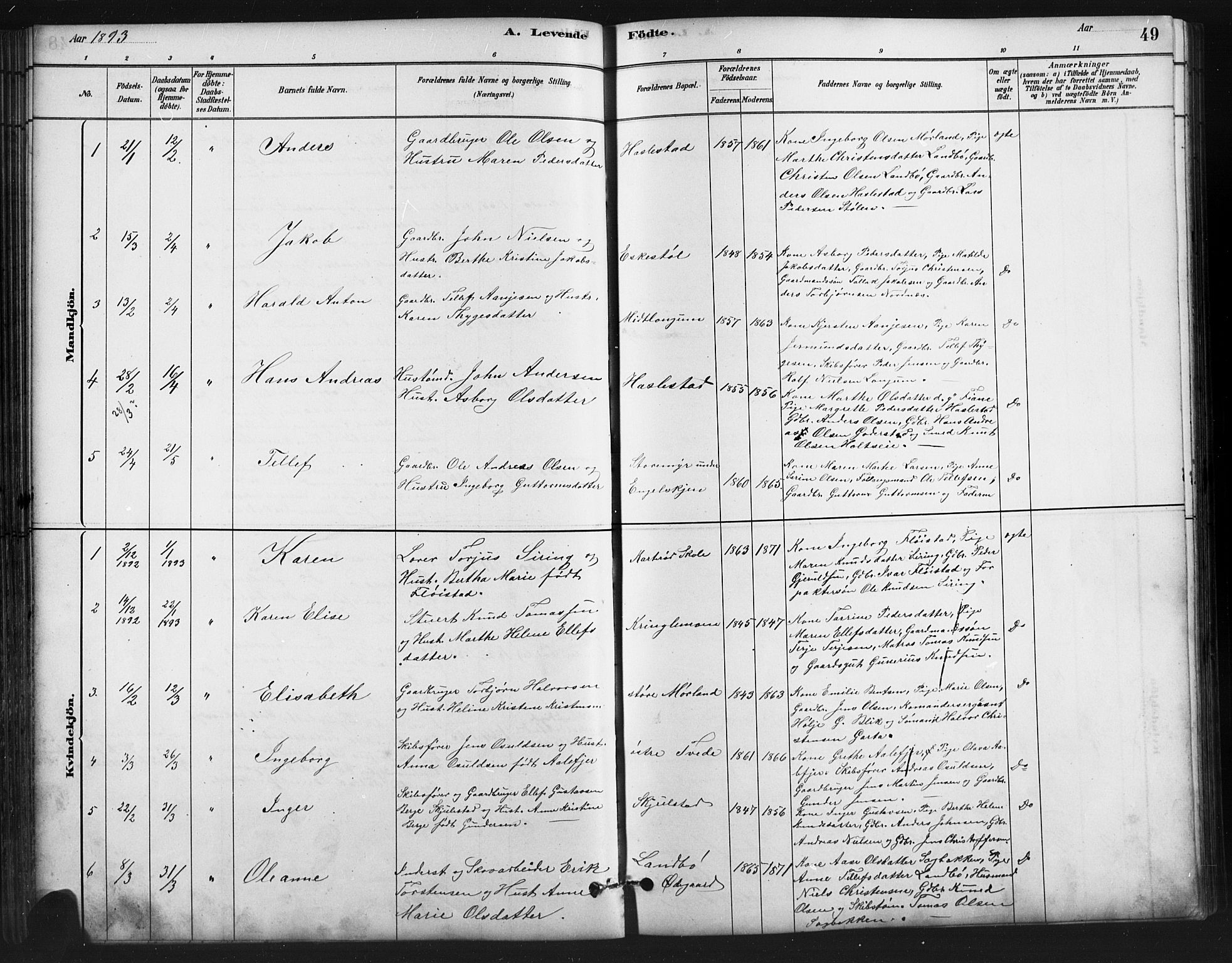 Austre Moland sokneprestkontor, SAK/1111-0001/F/Fb/Fba/L0003: Parish register (copy) no. B 3, 1879-1914, p. 49