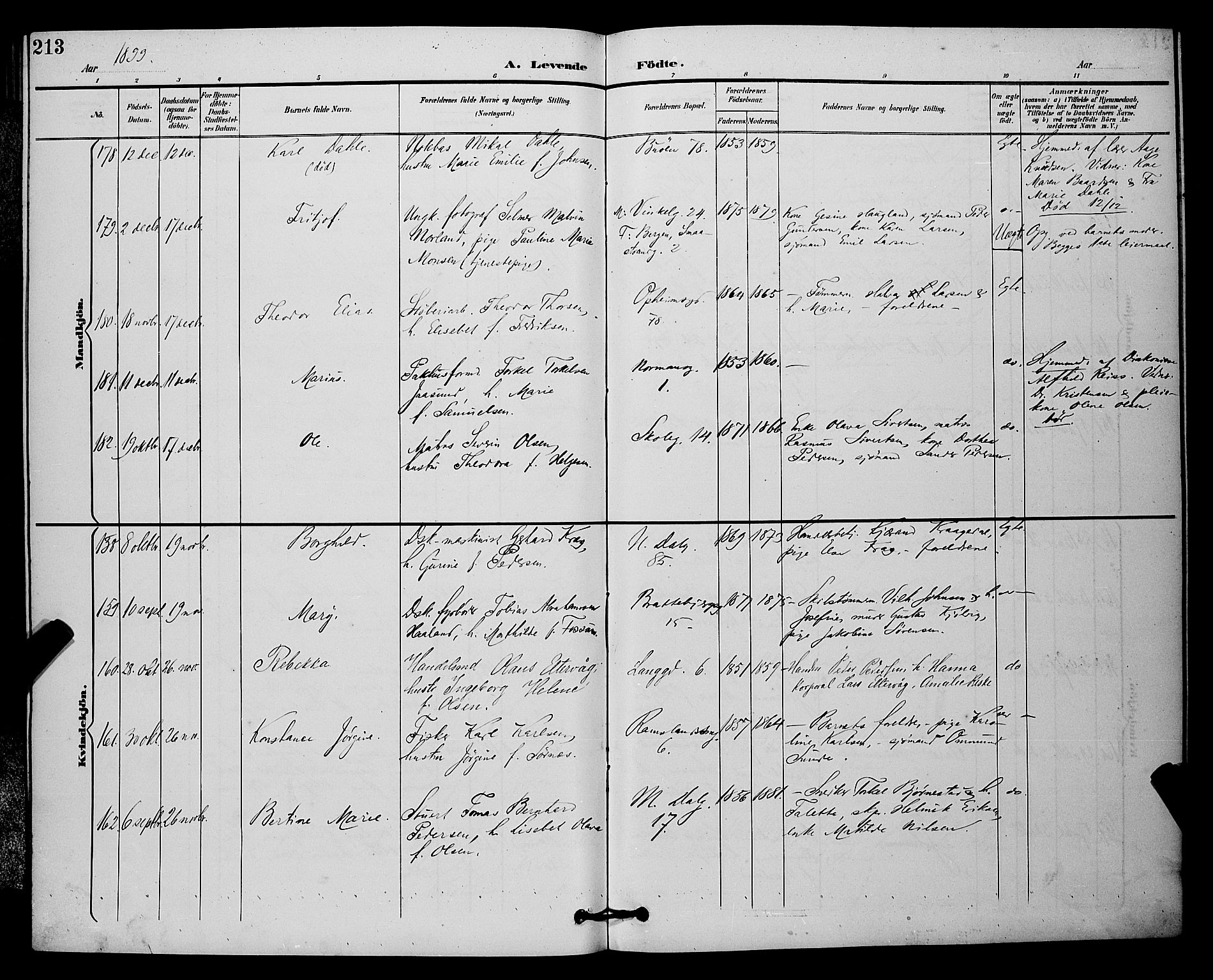 St. Johannes sokneprestkontor, AV/SAST-A-101814/001/30/30BB/L0003: Parish register (copy) no. B 3, 1893-1900, p. 213