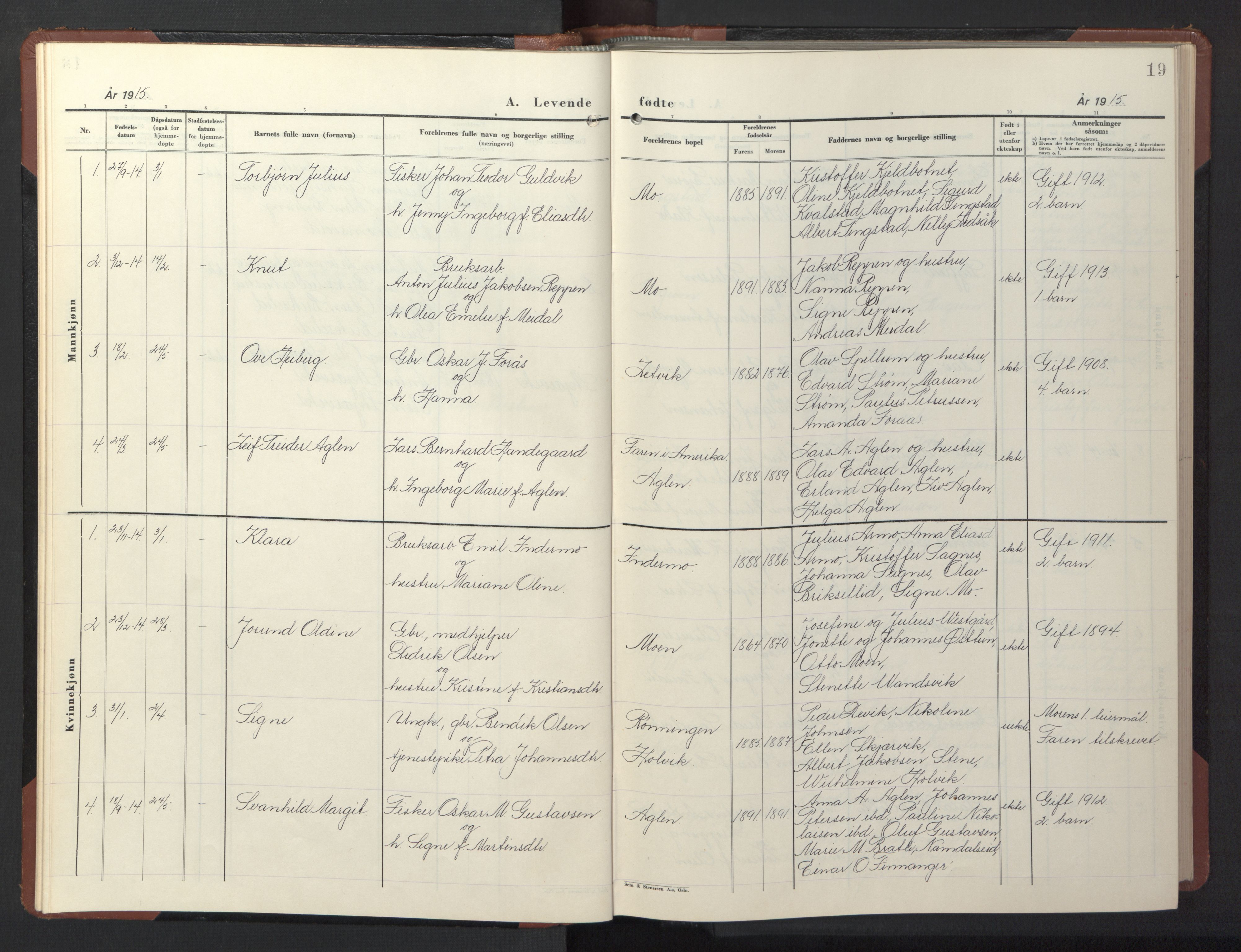 Ministerialprotokoller, klokkerbøker og fødselsregistre - Nord-Trøndelag, SAT/A-1458/773/L0625: Parish register (copy) no. 773C01, 1910-1952, p. 19