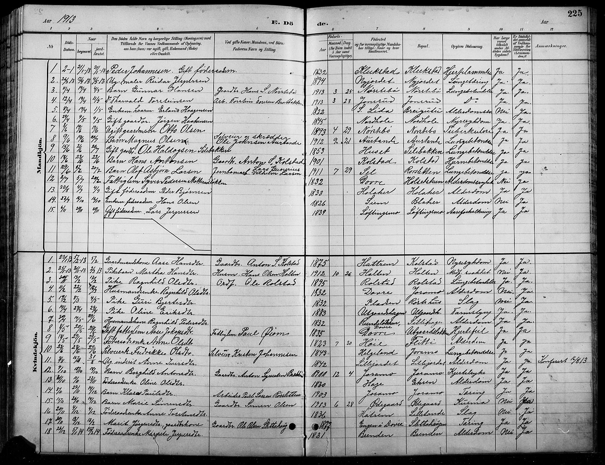 Lesja prestekontor, AV/SAH-PREST-068/H/Ha/Hab/L0007: Parish register (copy) no. 7, 1895-1919, p. 225