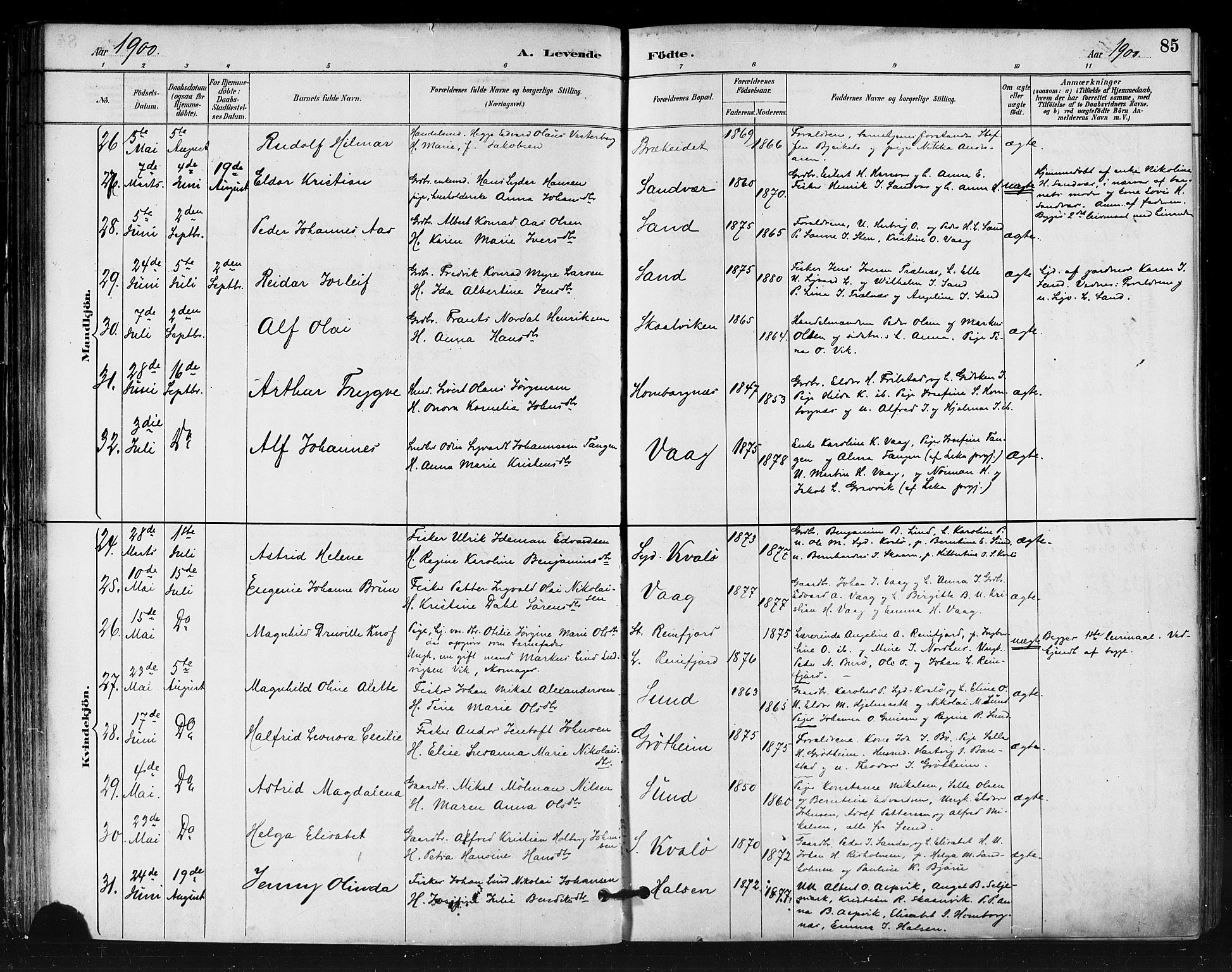 Ministerialprotokoller, klokkerbøker og fødselsregistre - Nordland, AV/SAT-A-1459/812/L0178: Parish register (official) no. 812A07, 1886-1900, p. 85