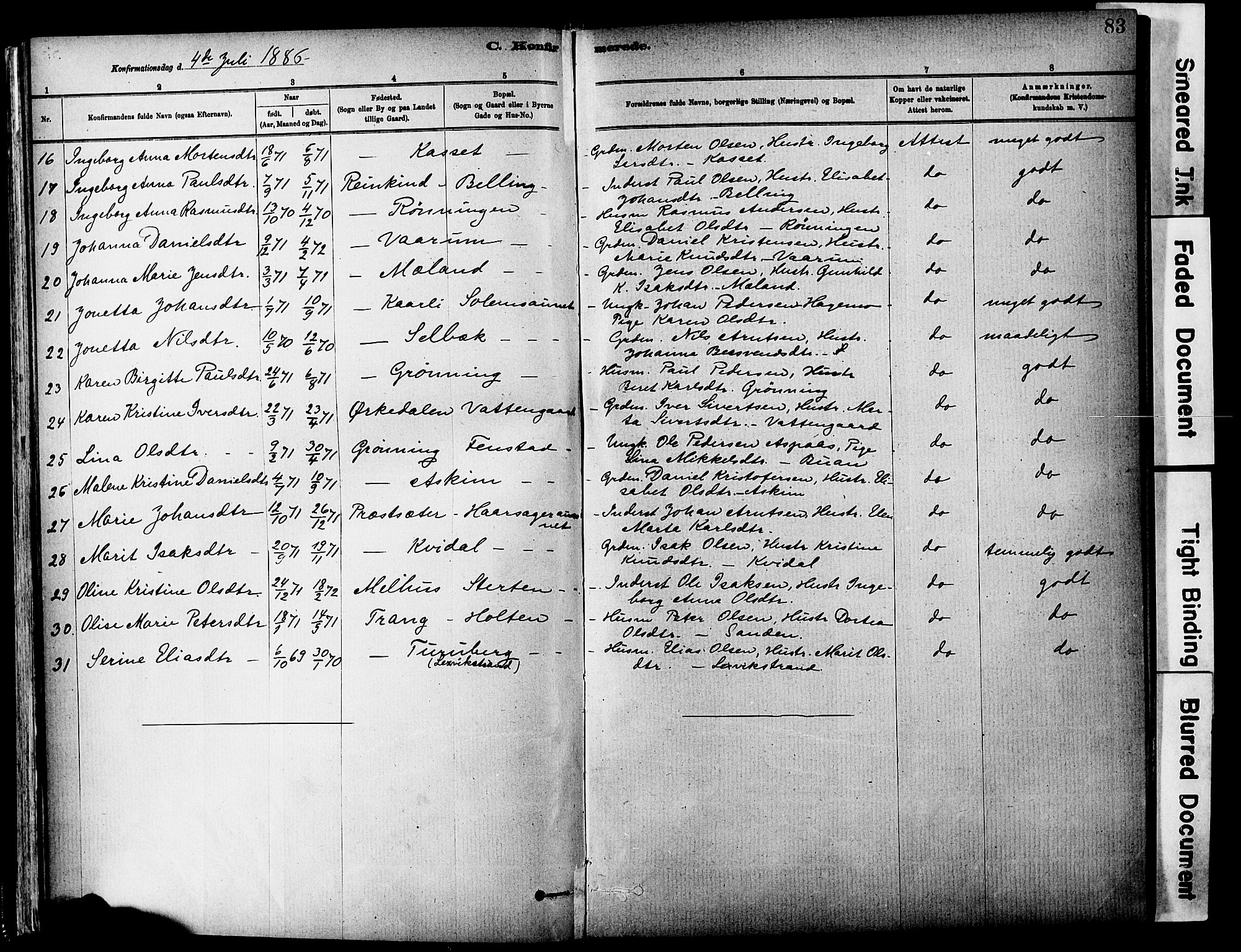 Ministerialprotokoller, klokkerbøker og fødselsregistre - Sør-Trøndelag, SAT/A-1456/646/L0615: Parish register (official) no. 646A13, 1885-1900, p. 83