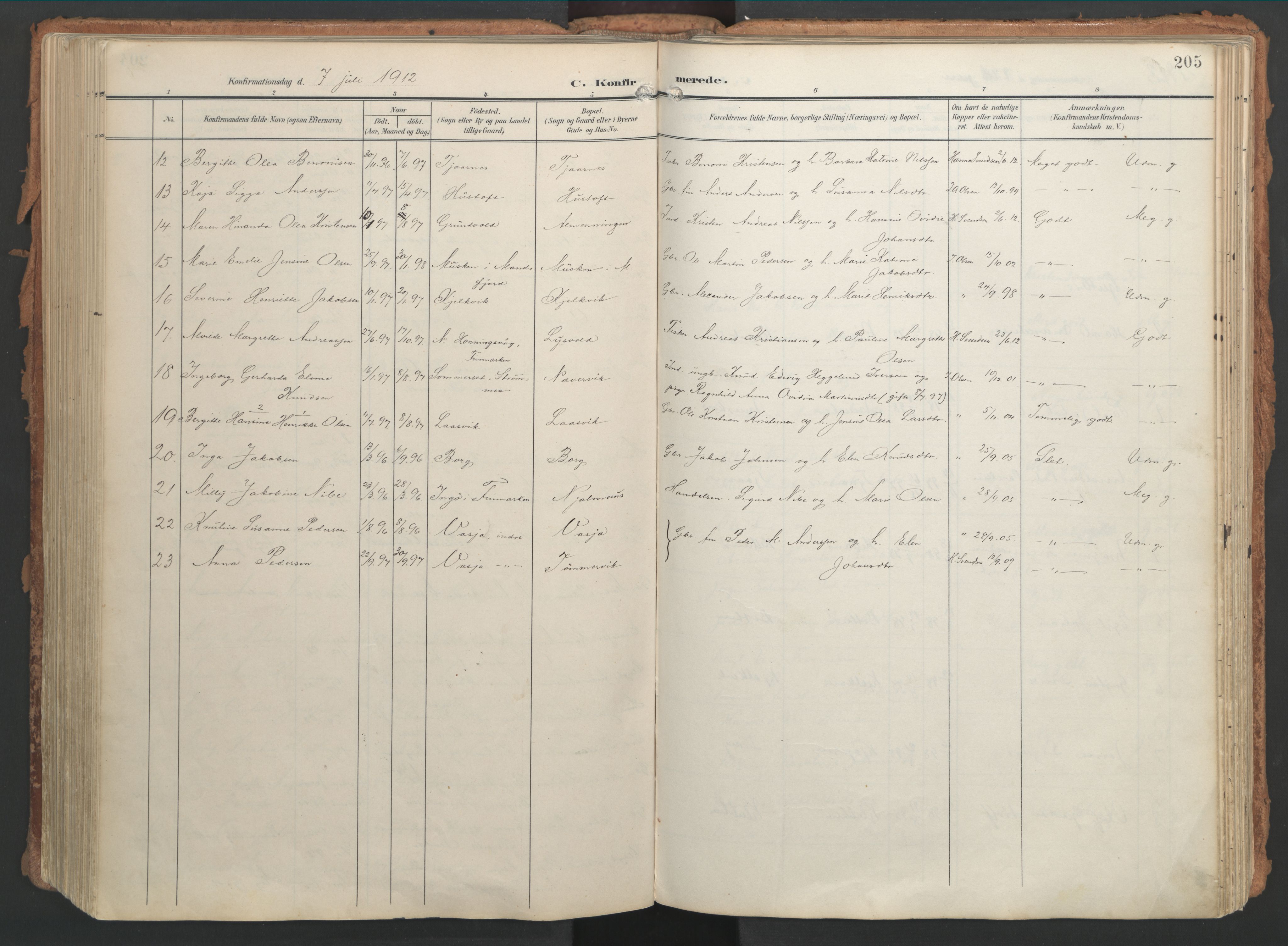 Ministerialprotokoller, klokkerbøker og fødselsregistre - Nordland, AV/SAT-A-1459/861/L0871: Parish register (official) no. 861A06, 1903-1916, p. 205