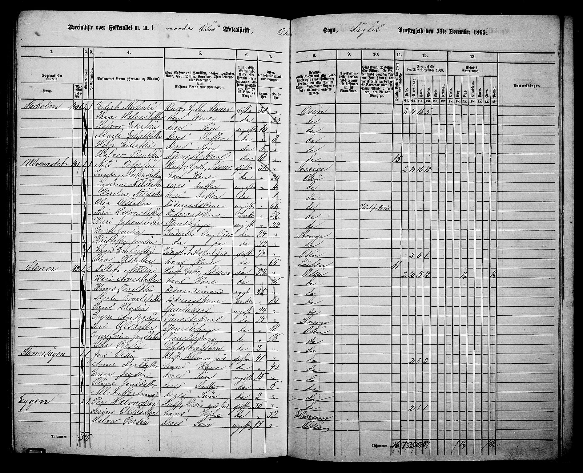 RA, 1865 census for Trysil, 1865, p. 157