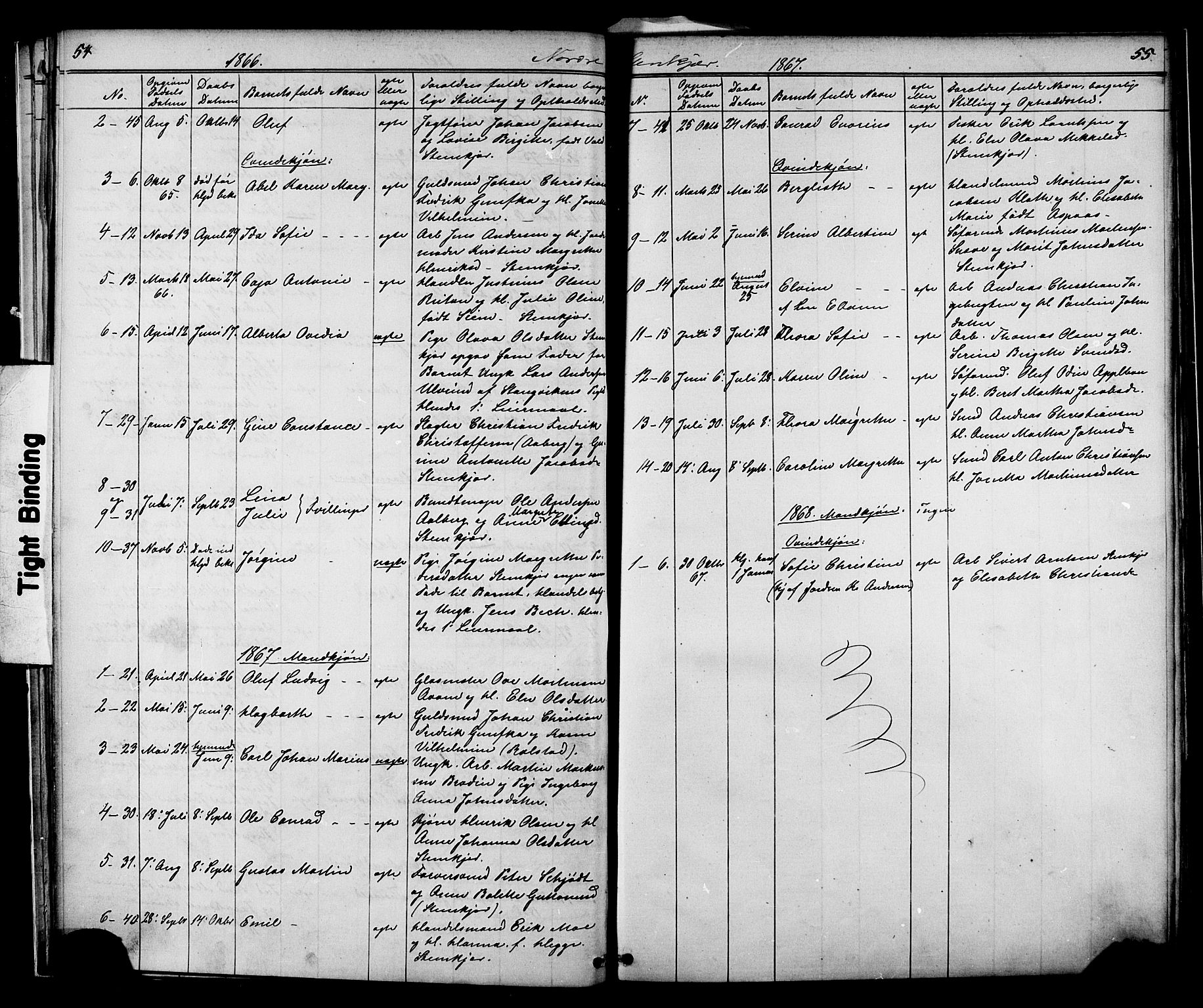 Ministerialprotokoller, klokkerbøker og fødselsregistre - Nord-Trøndelag, SAT/A-1458/739/L0367: Parish register (official) no. 739A01 /2, 1838-1868, p. 54-55