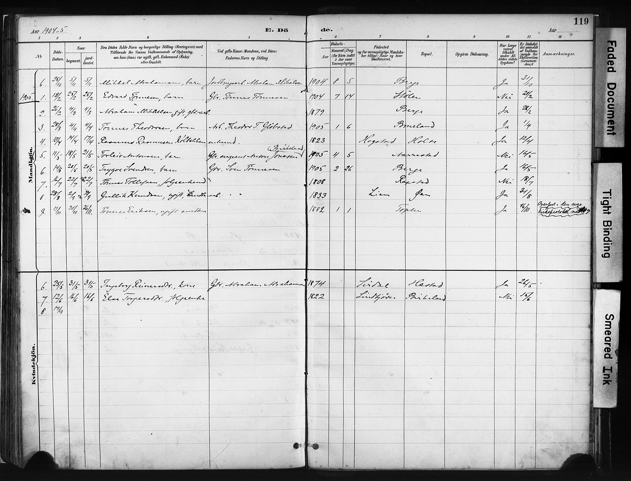 Helleland sokneprestkontor, SAST/A-101810: Parish register (official) no. A 8, 1887-1907, p. 119