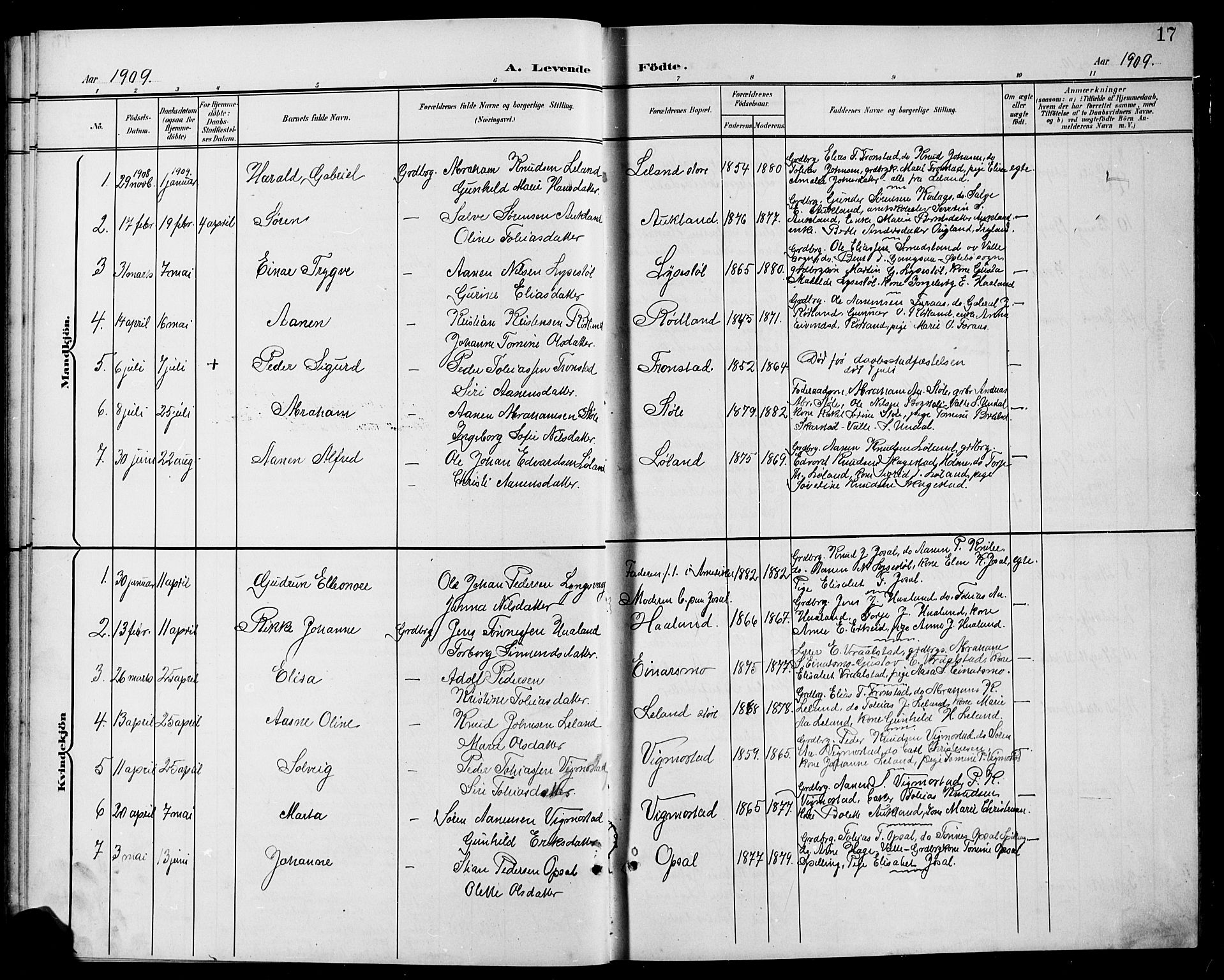 Nord-Audnedal sokneprestkontor, SAK/1111-0032/F/Fb/Fbb/L0004: Parish register (copy) no. B 4, 1901-1917, p. 17
