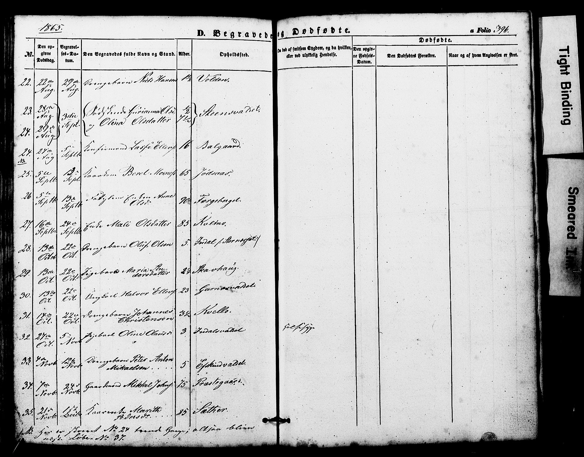 Ministerialprotokoller, klokkerbøker og fødselsregistre - Nord-Trøndelag, SAT/A-1458/724/L0268: Parish register (copy) no. 724C04, 1846-1878, p. 396