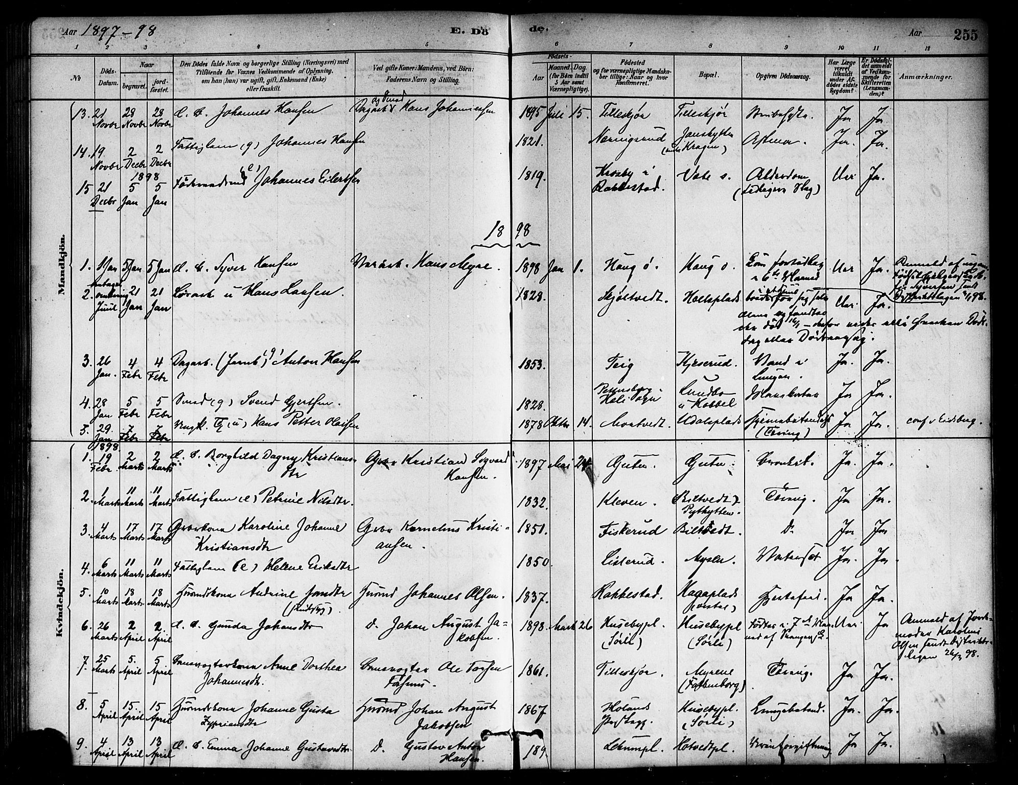 Eidsberg prestekontor Kirkebøker, SAO/A-10905/F/Fa/L0012: Parish register (official) no. I 12, 1879-1901, p. 255