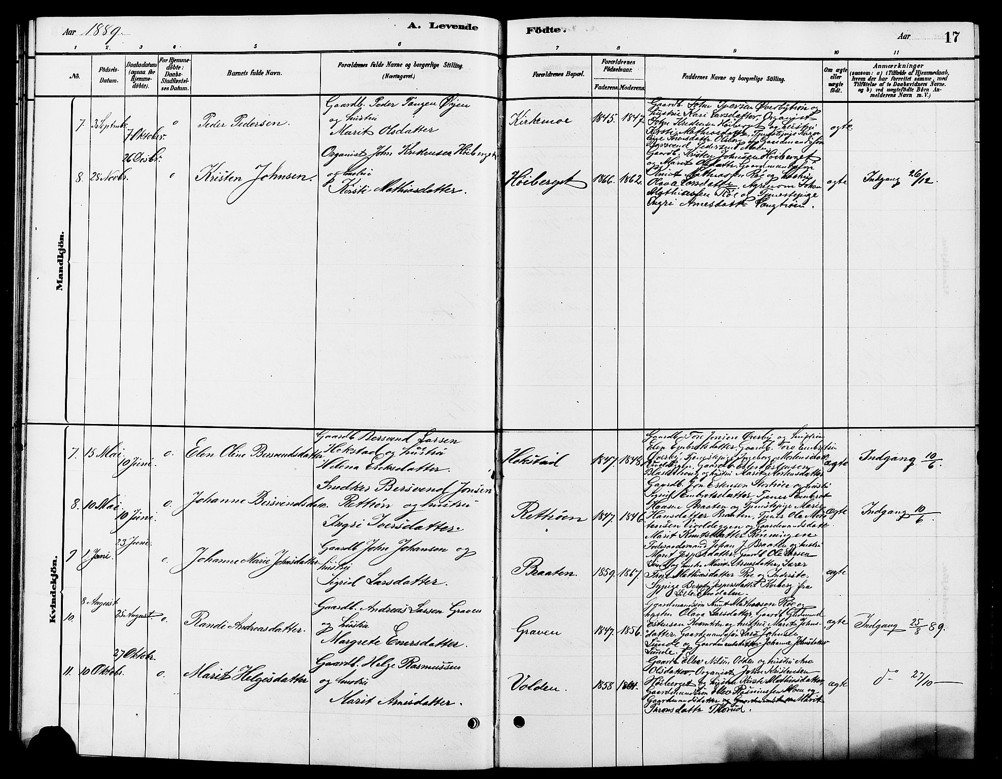 Tynset prestekontor, SAH/PREST-058/H/Ha/Hab/L0007: Parish register (copy) no. 7, 1880-1901, p. 17