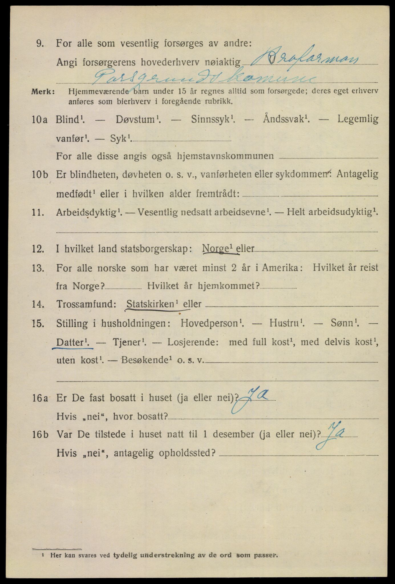 SAKO, 1920 census for Porsgrunn, 1920, p. 17340