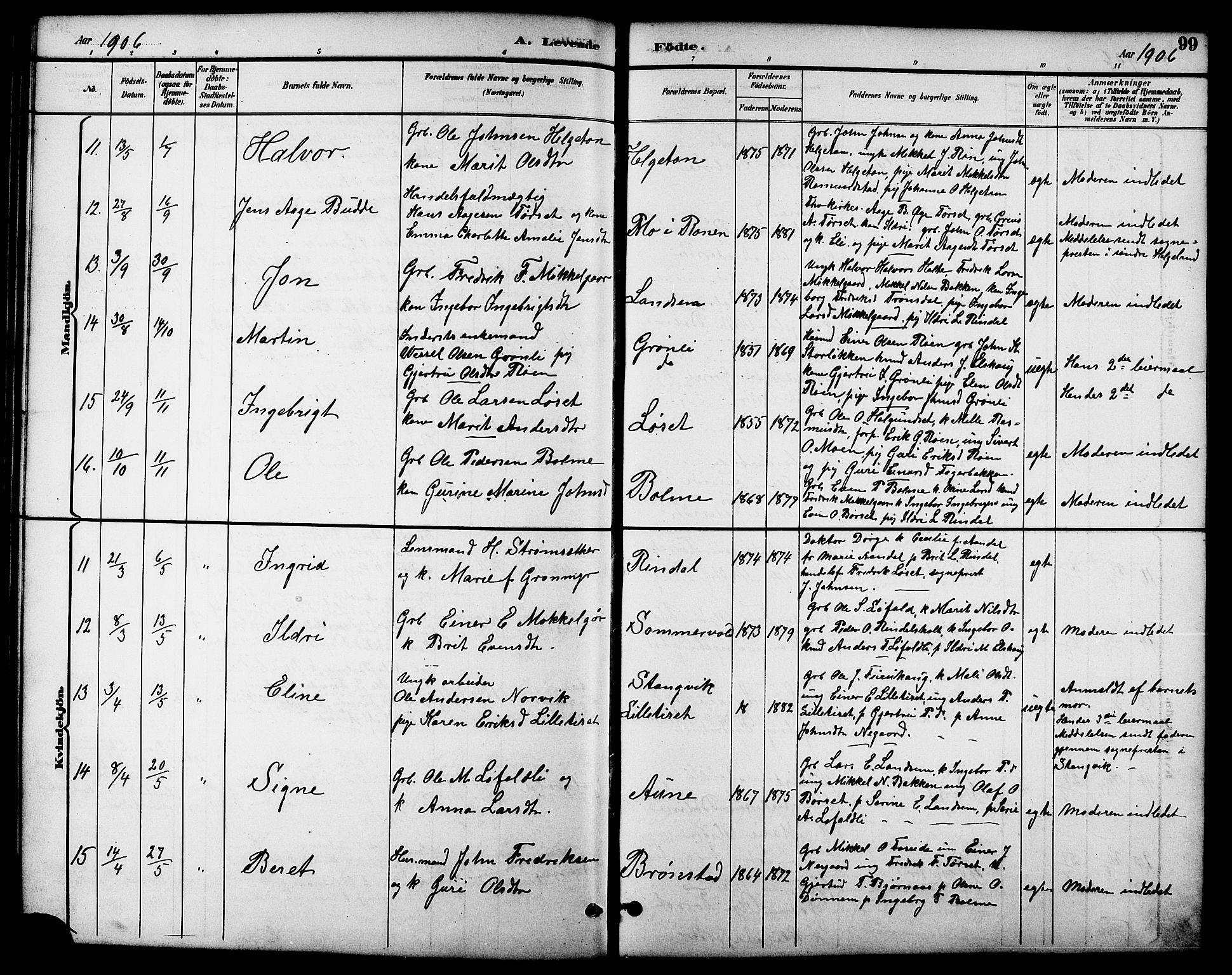 Ministerialprotokoller, klokkerbøker og fødselsregistre - Møre og Romsdal, AV/SAT-A-1454/598/L1078: Parish register (copy) no. 598C03, 1892-1909, p. 99