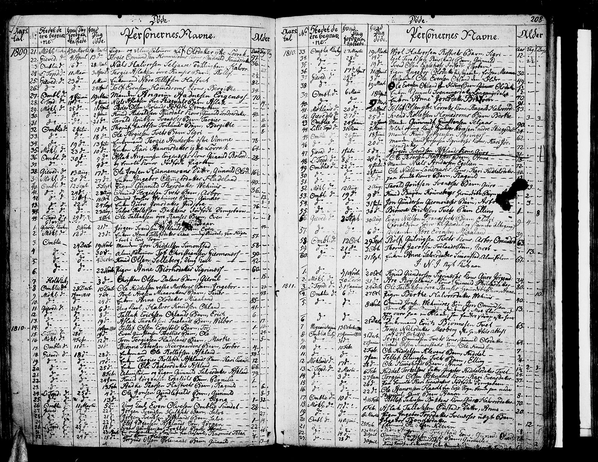 Åmli sokneprestkontor, SAK/1111-0050/F/Fa/Fac/L0005: Parish register (official) no. A 5, 1796-1816, p. 208