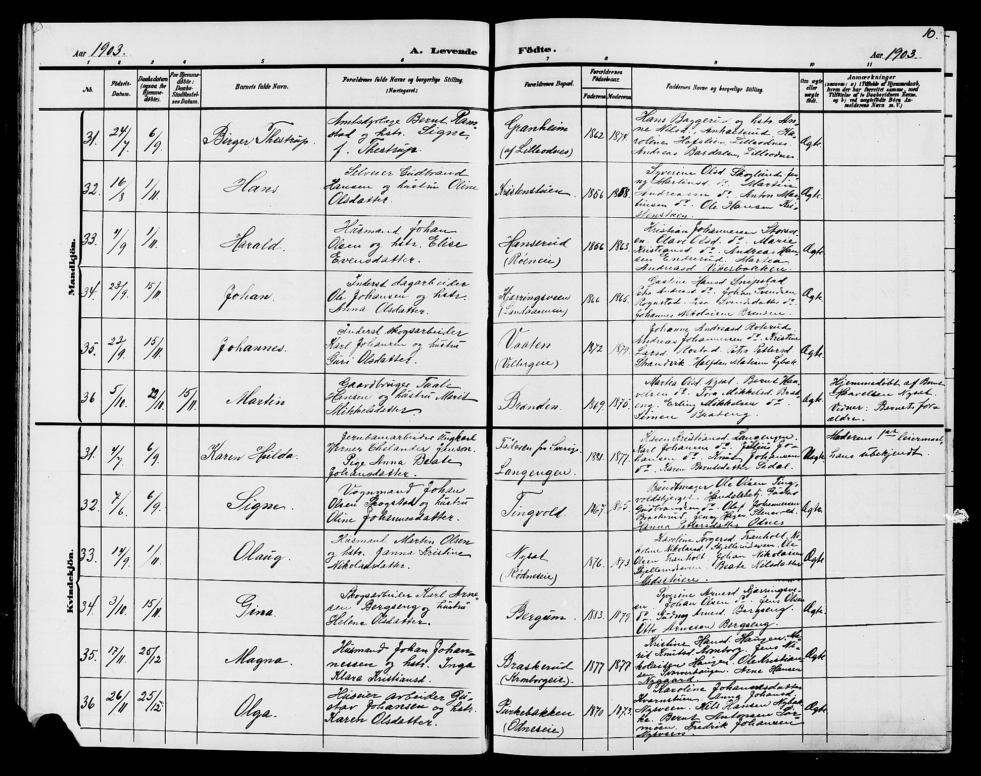 Søndre Land prestekontor, SAH/PREST-122/L/L0005: Parish register (copy) no. 5, 1902-1911, p. 10