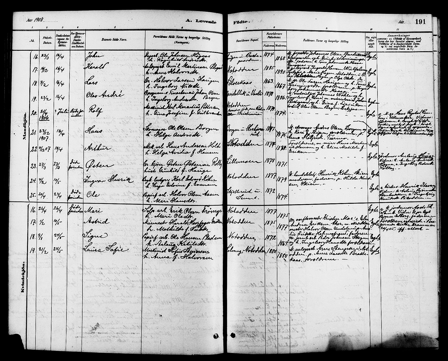 Heddal kirkebøker, SAKO/A-268/G/Ga/L0002: Parish register (copy) no. I 2, 1879-1908, p. 191