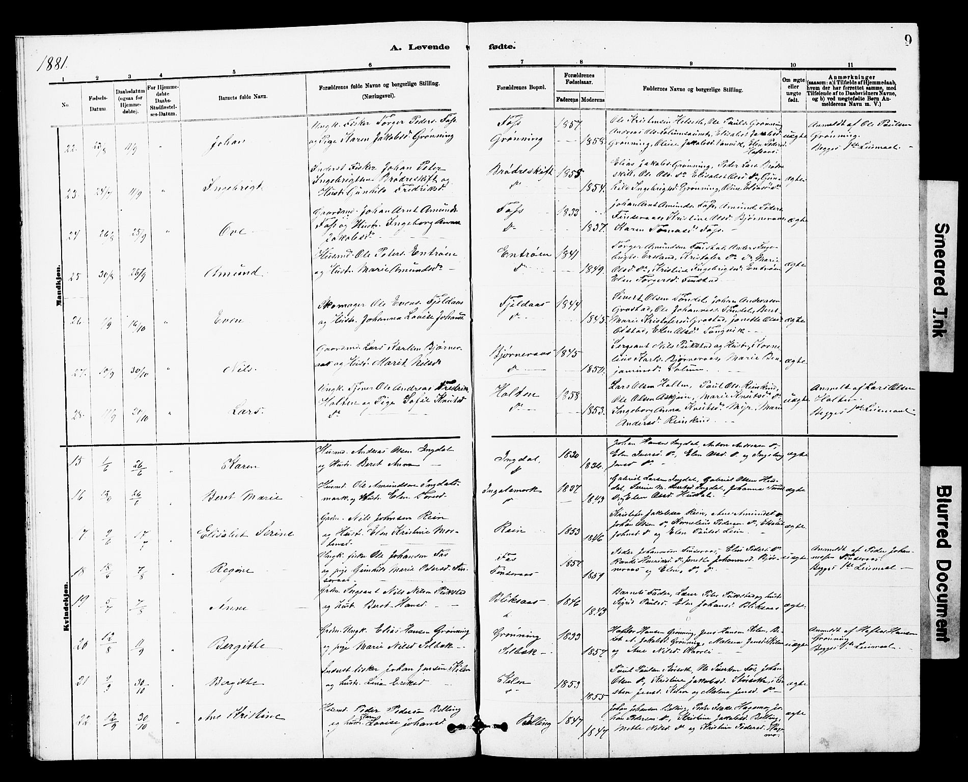 Ministerialprotokoller, klokkerbøker og fødselsregistre - Sør-Trøndelag, AV/SAT-A-1456/646/L0628: Parish register (copy) no. 646C01, 1880-1903, p. 9