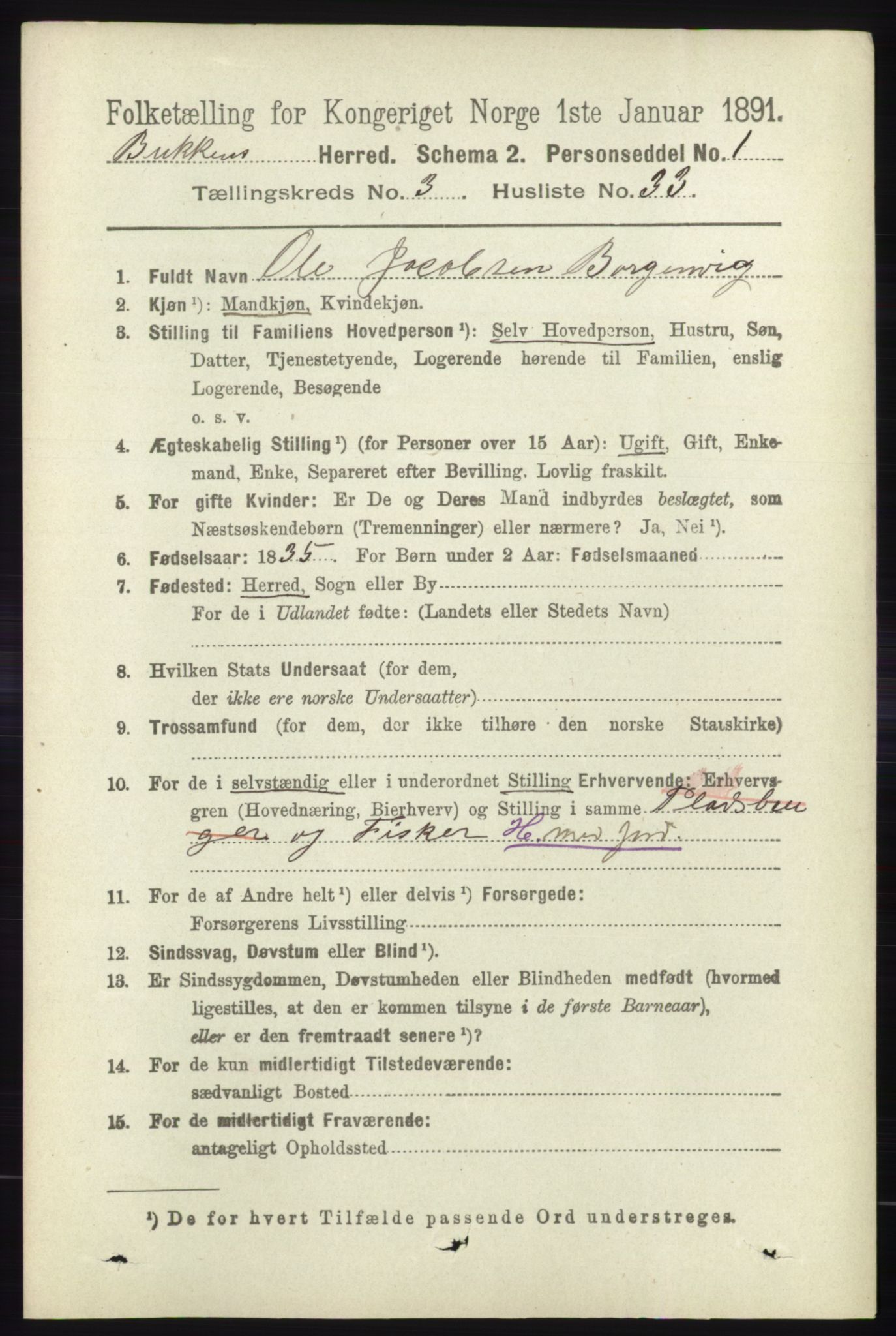 RA, 1891 census for 1145 Bokn, 1891, p. 805