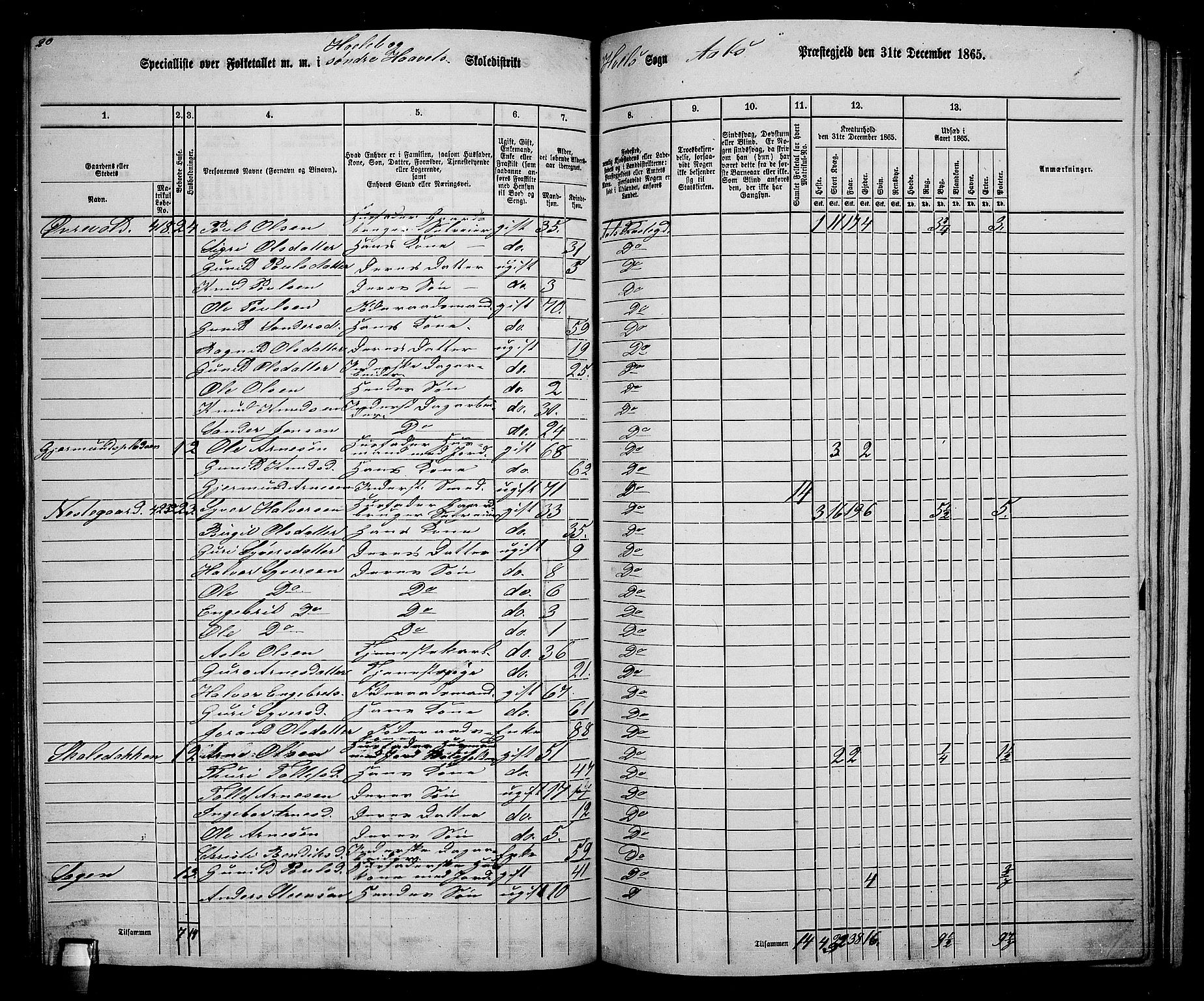 RA, 1865 census for Ål, 1865, p. 203