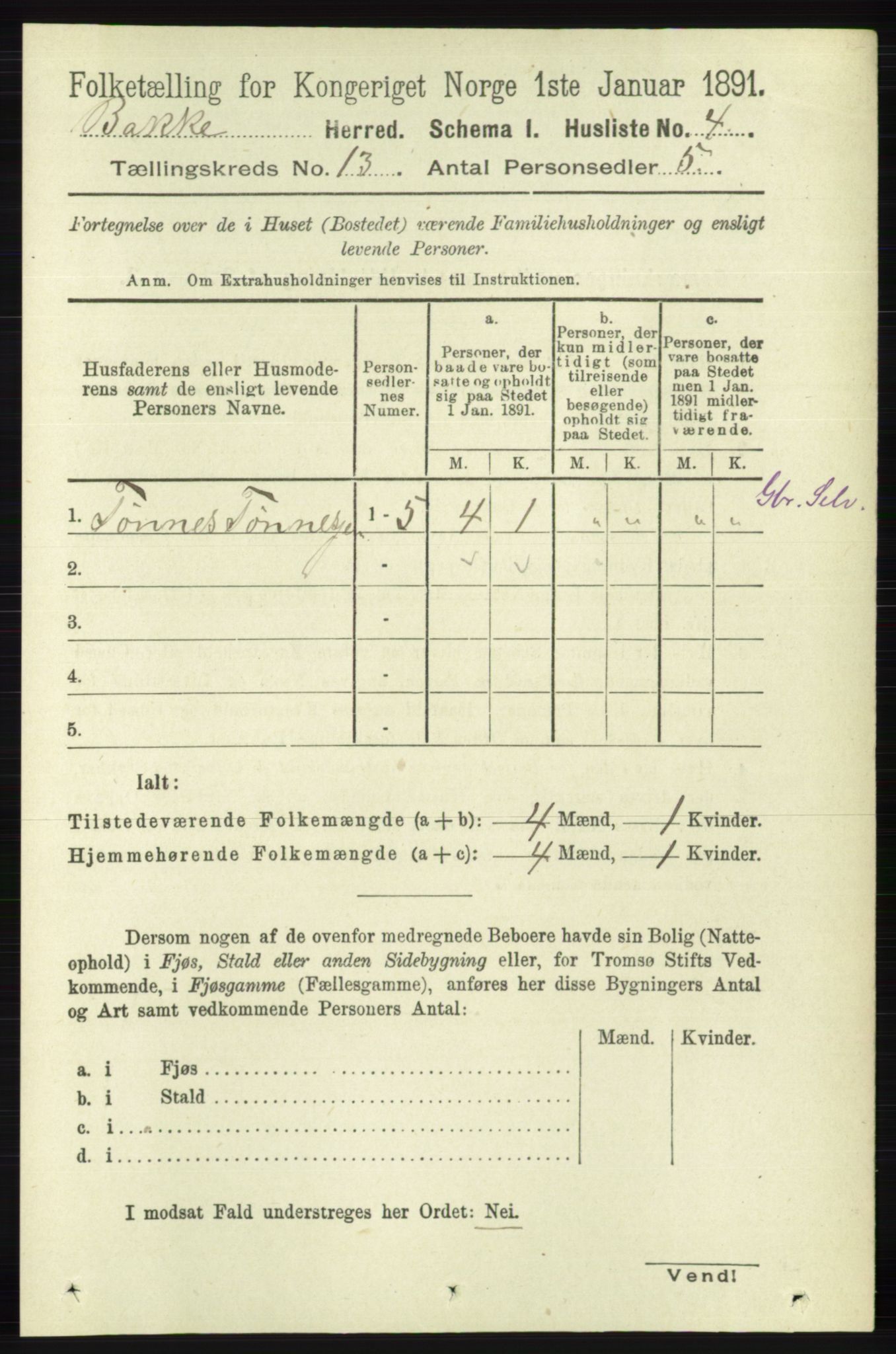 RA, 1891 census for 1045 Bakke, 1891, p. 2672