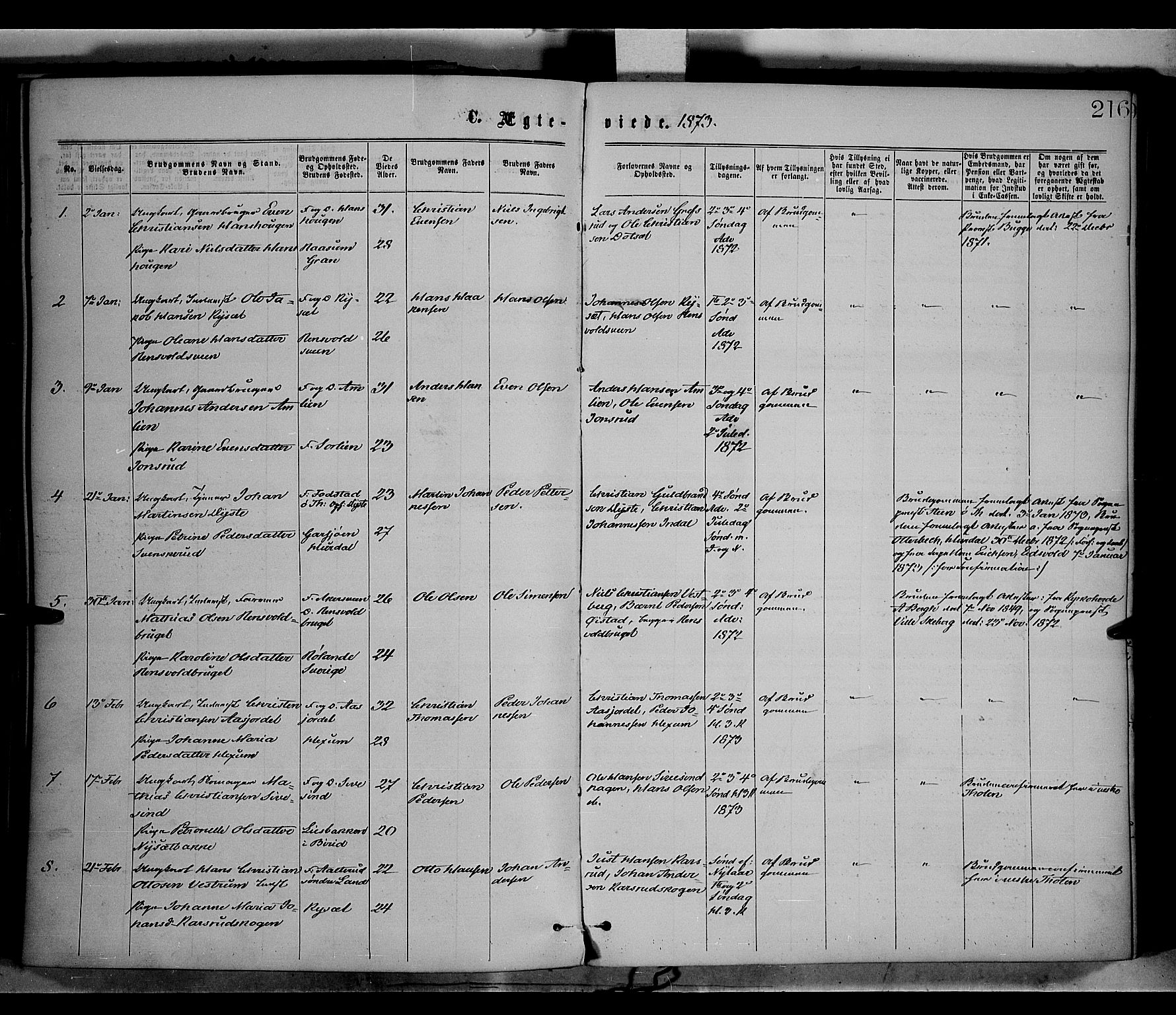 Vestre Toten prestekontor, SAH/PREST-108/H/Ha/Haa/L0008: Parish register (official) no. 8, 1870-1877, p. 216